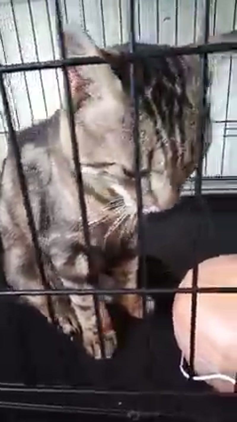 Rocky … The Sneezy Smooch ð½
