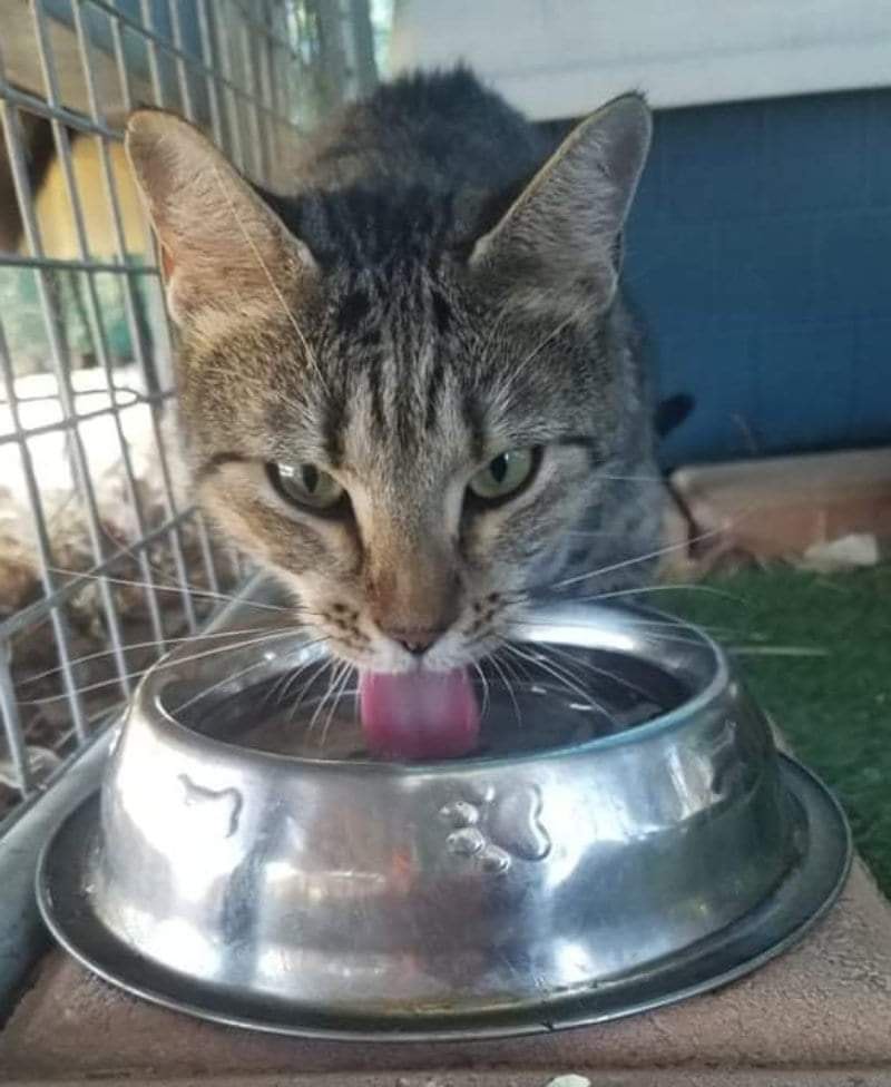 Linda and the #PerthHeatwave ð¦ð¥µð¦