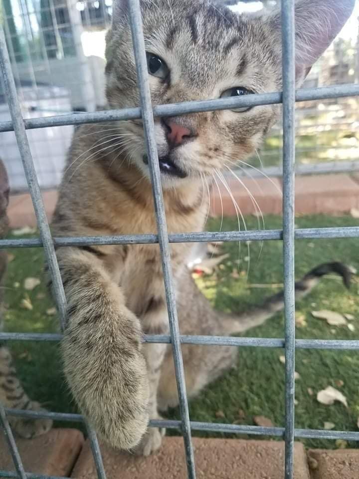 This is Carol, from Toodyay in the beautiful Avon Valley. ð¤©