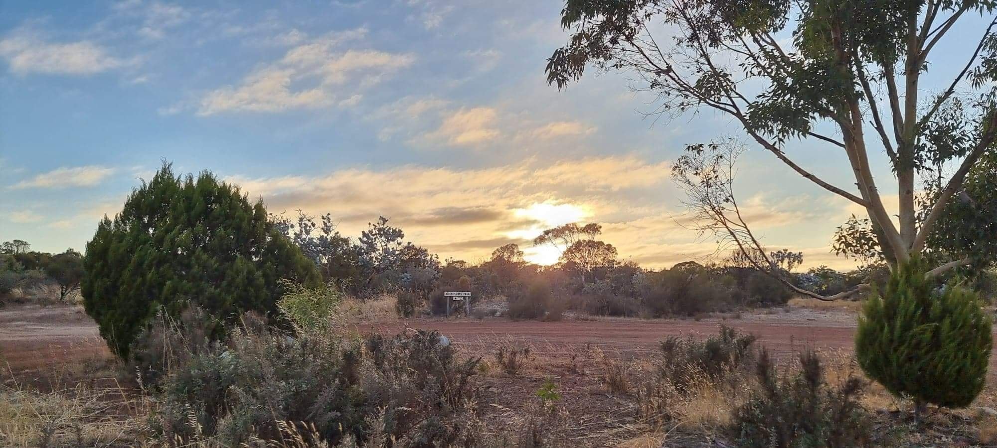Good_morning_Kulin - Image from 2022-03-07