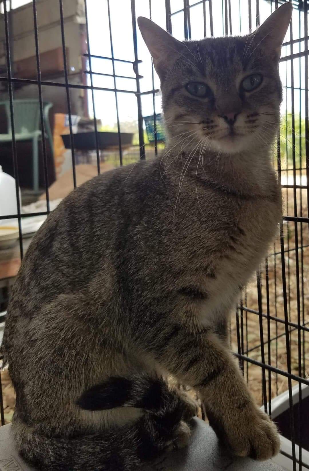 Shalom… what a darling this girl is. ð¥°