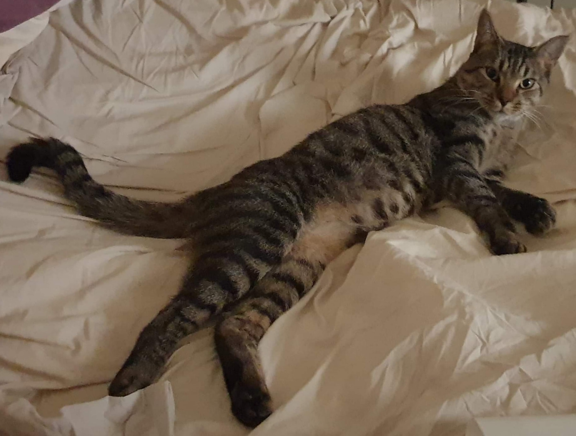 Paul living his best life… ð¤©