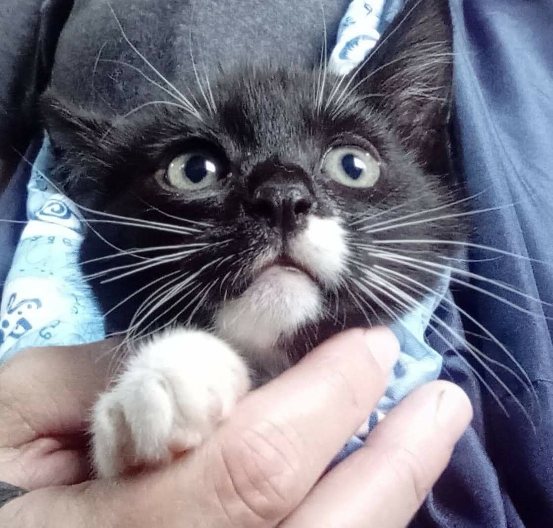 Peek-a-Boo. ð»