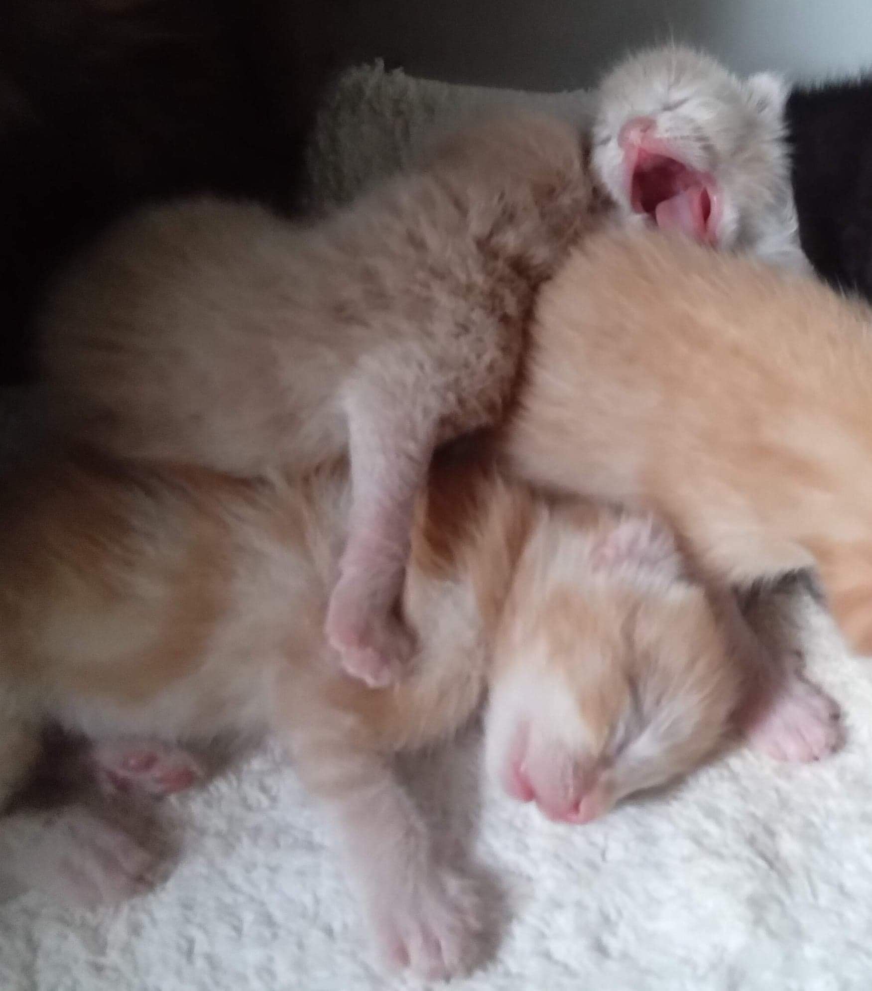 It's all ð¥± and ð¤ at this age ð¥°