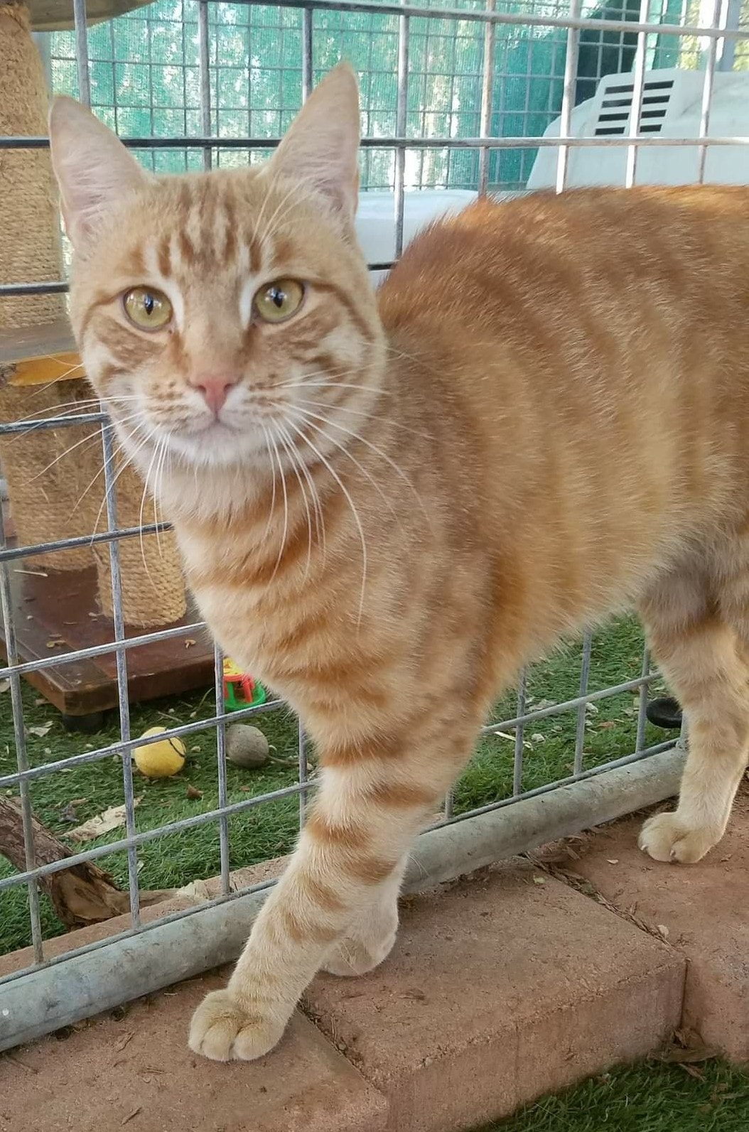 Ranga enjoying the beautiful weather… ð