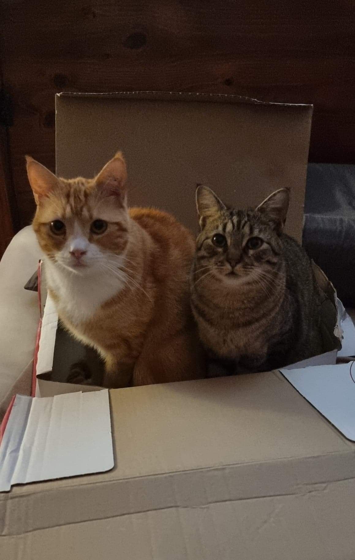 No box left (without a) behind! ð¹