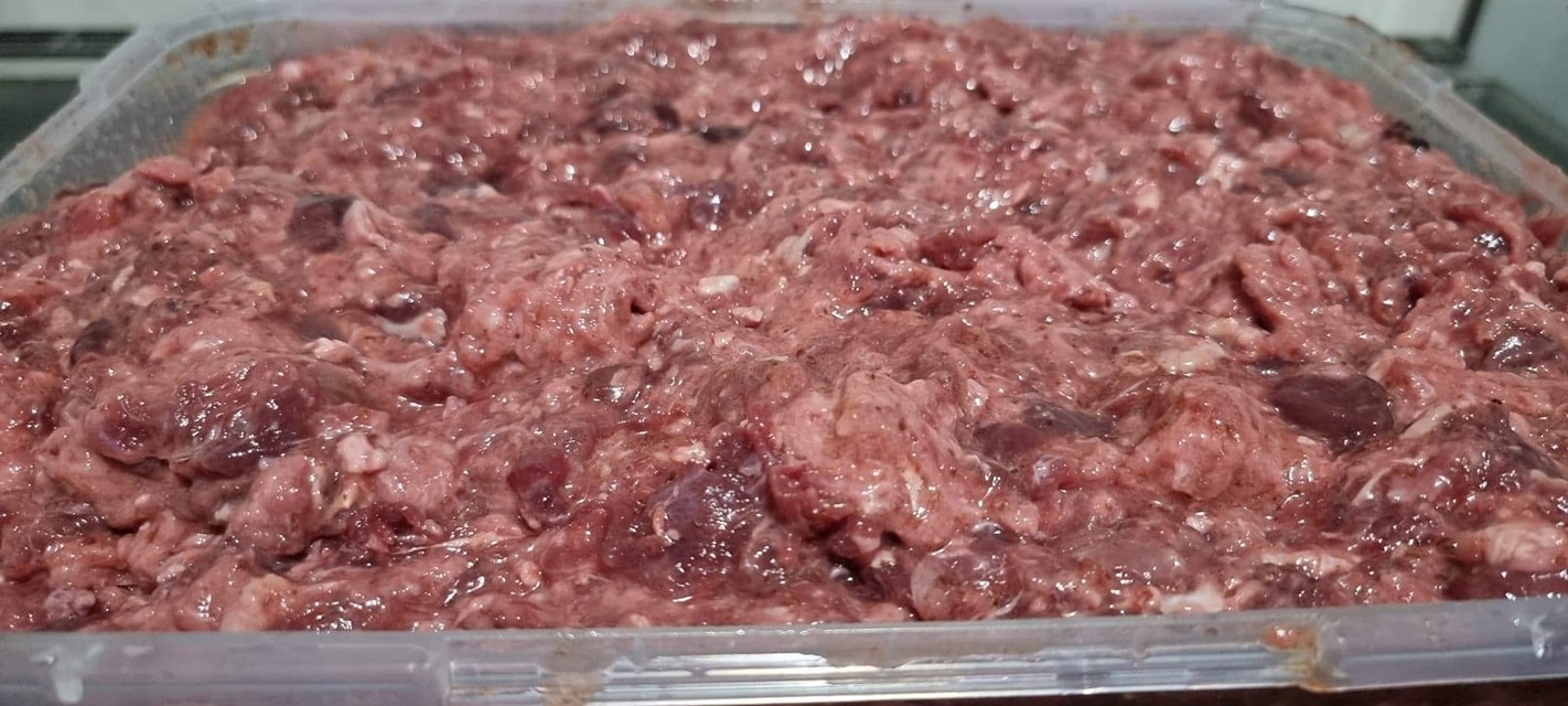 Wet_food_is_wise_food - Image from 2022-06-30
