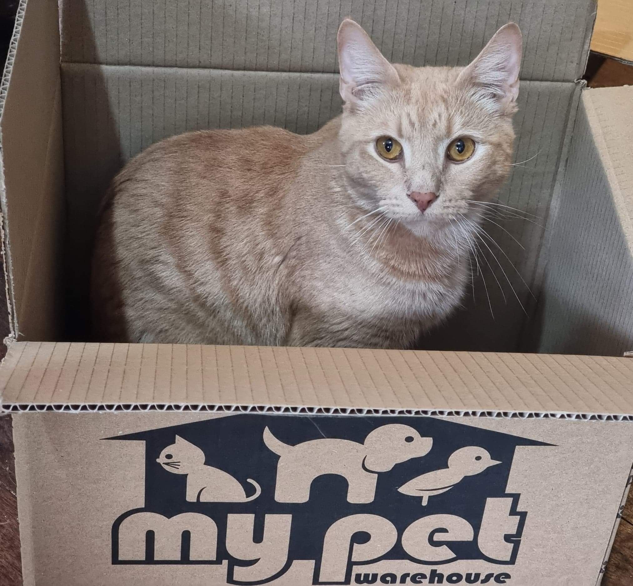 Thank_you_My_Pet_Warehouse_for - Image from 2022-07-08
