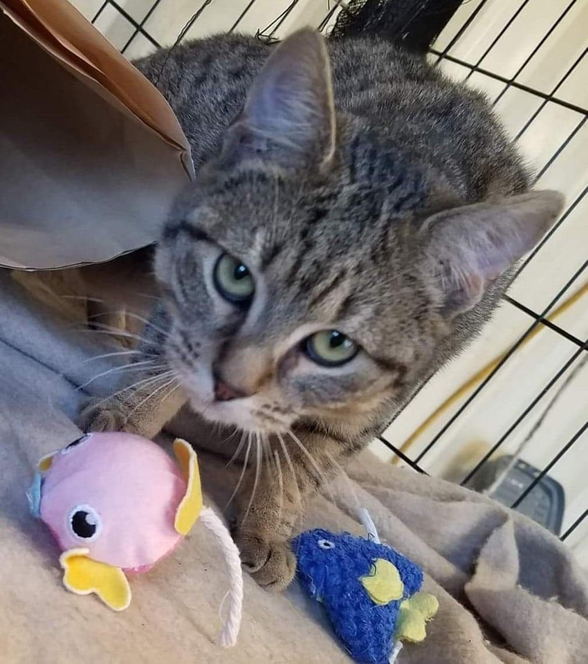 When you're told you have to share the new toys… ð¤¨
