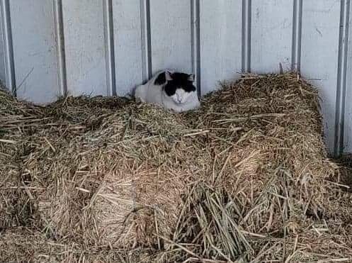 Ned. Hard at work. ð¤