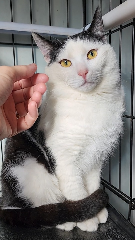 An update on Felix. ð¤ð¤ð¤