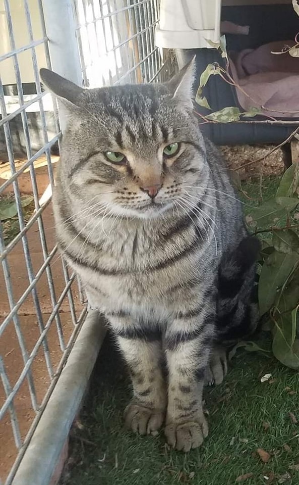 If you've got it, you've got it. ð¾