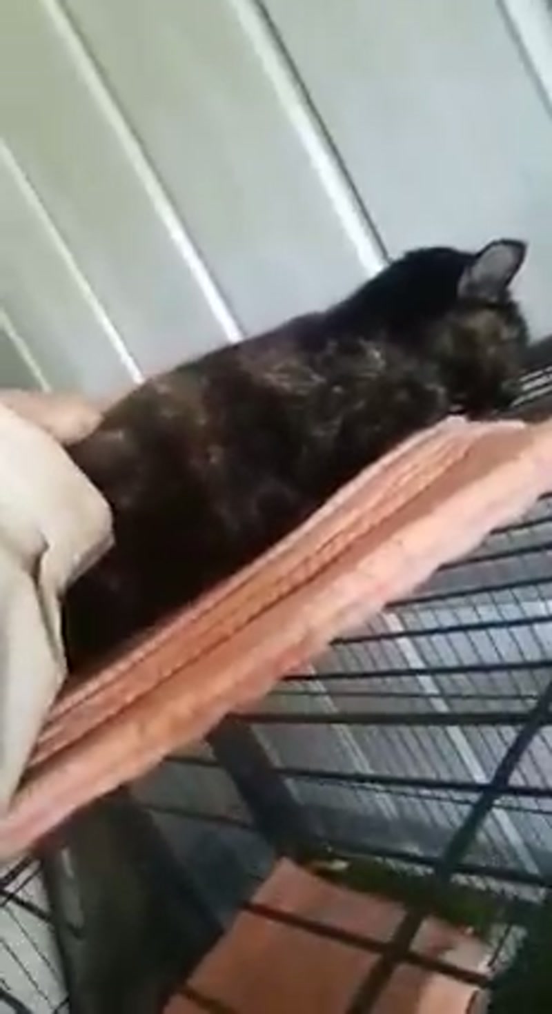 ð¥Sassy girl sleeps where she wants toð¥
