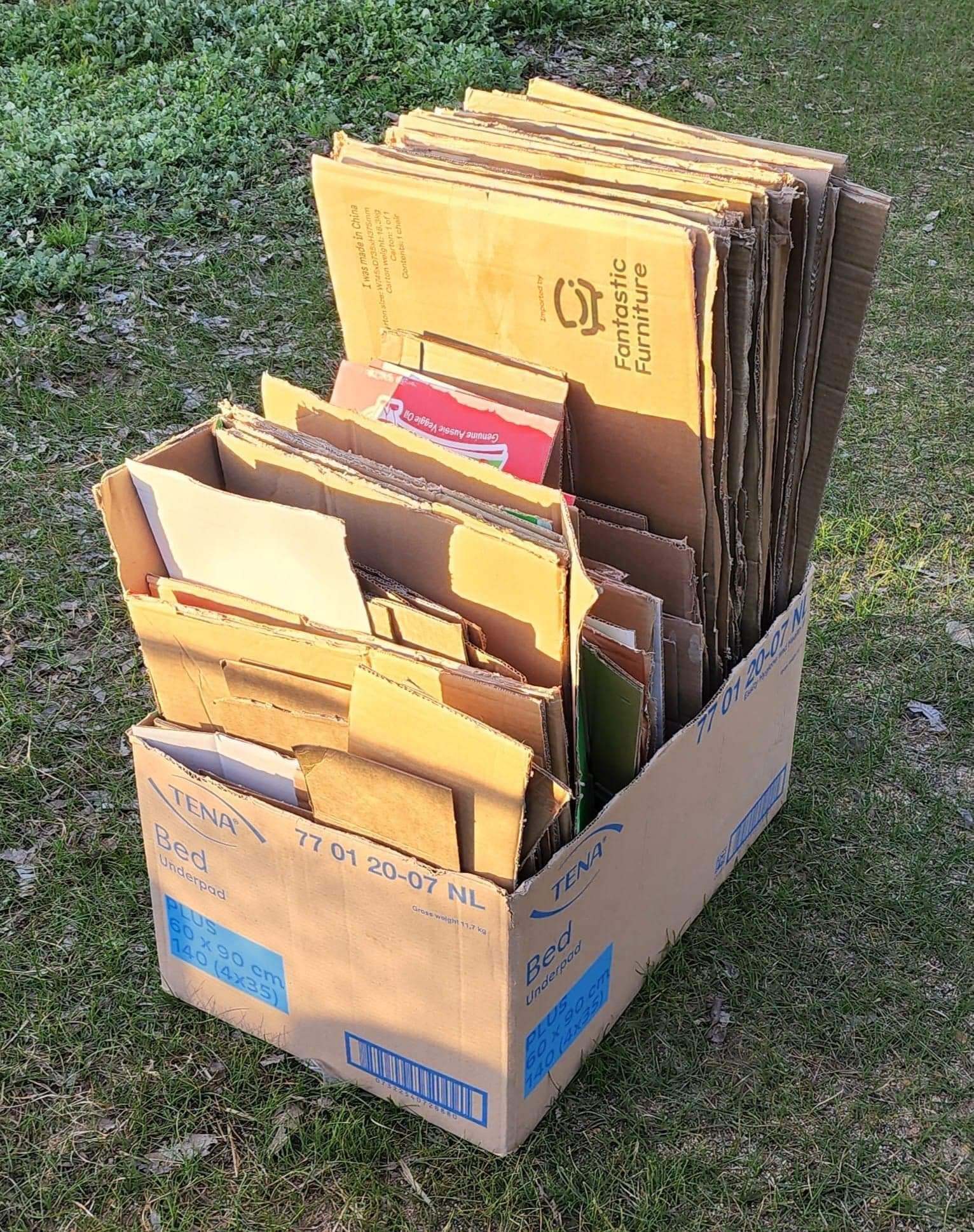 ð Cardboard stash! ð