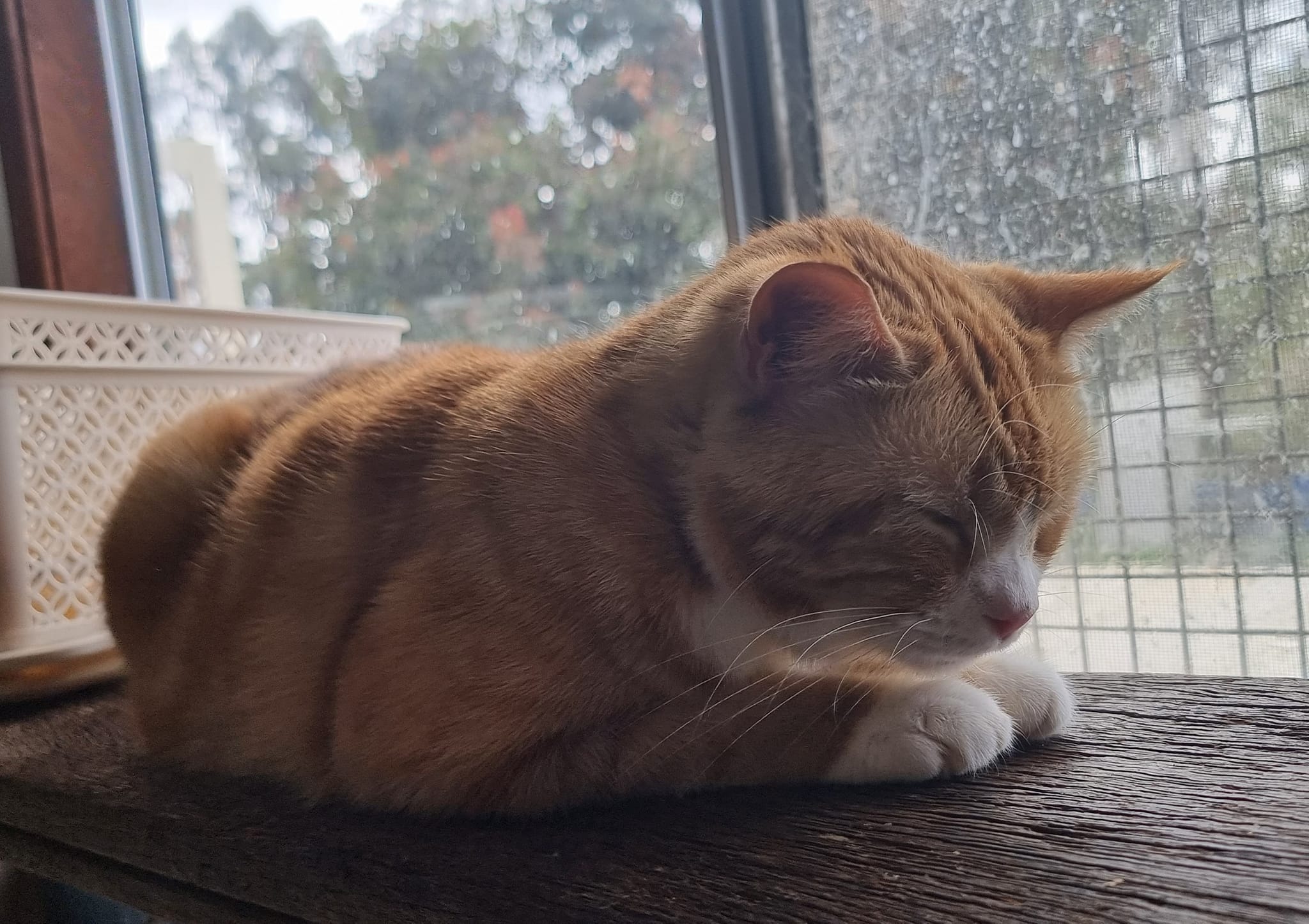 Sometimes a stretch really takes its toll…