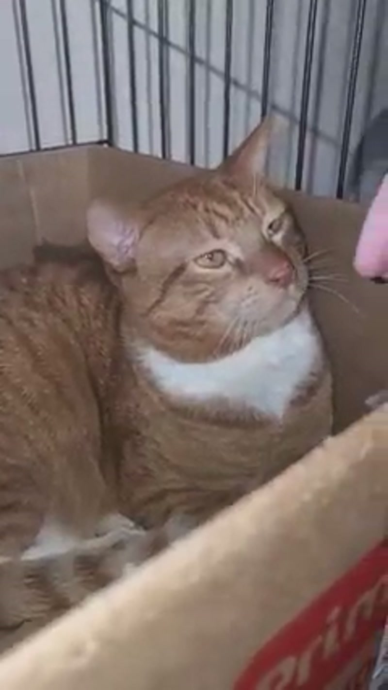 Zeb update… ðº