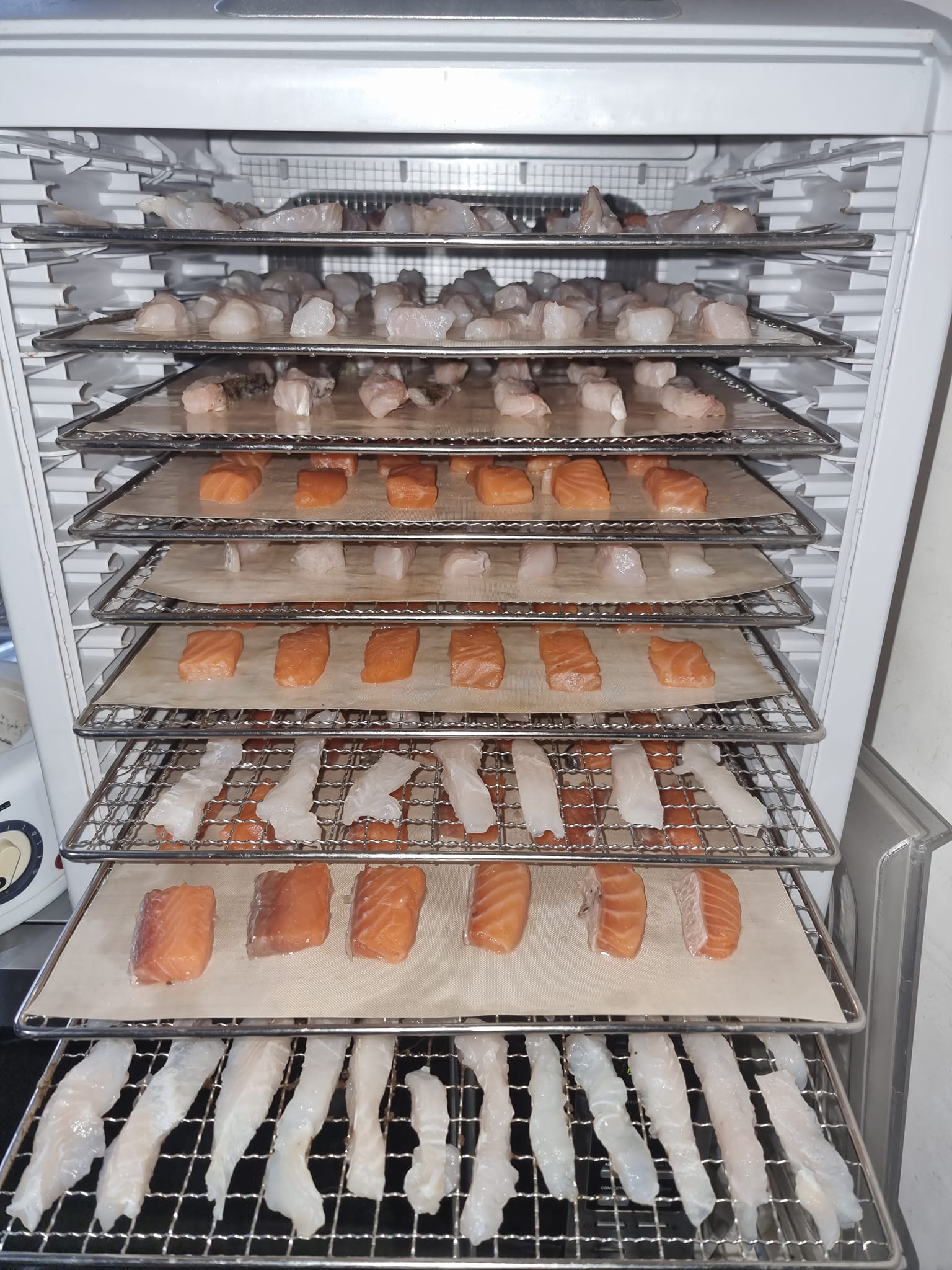 Dehydrated_fish_fingers_in_the - Image from 2022-10-19
