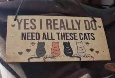 Gotta_love_a_cat_of_every_colo - Image from 2022-10-25