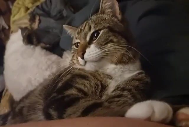 Dreamy sweet boy is looking for love. ð¥°