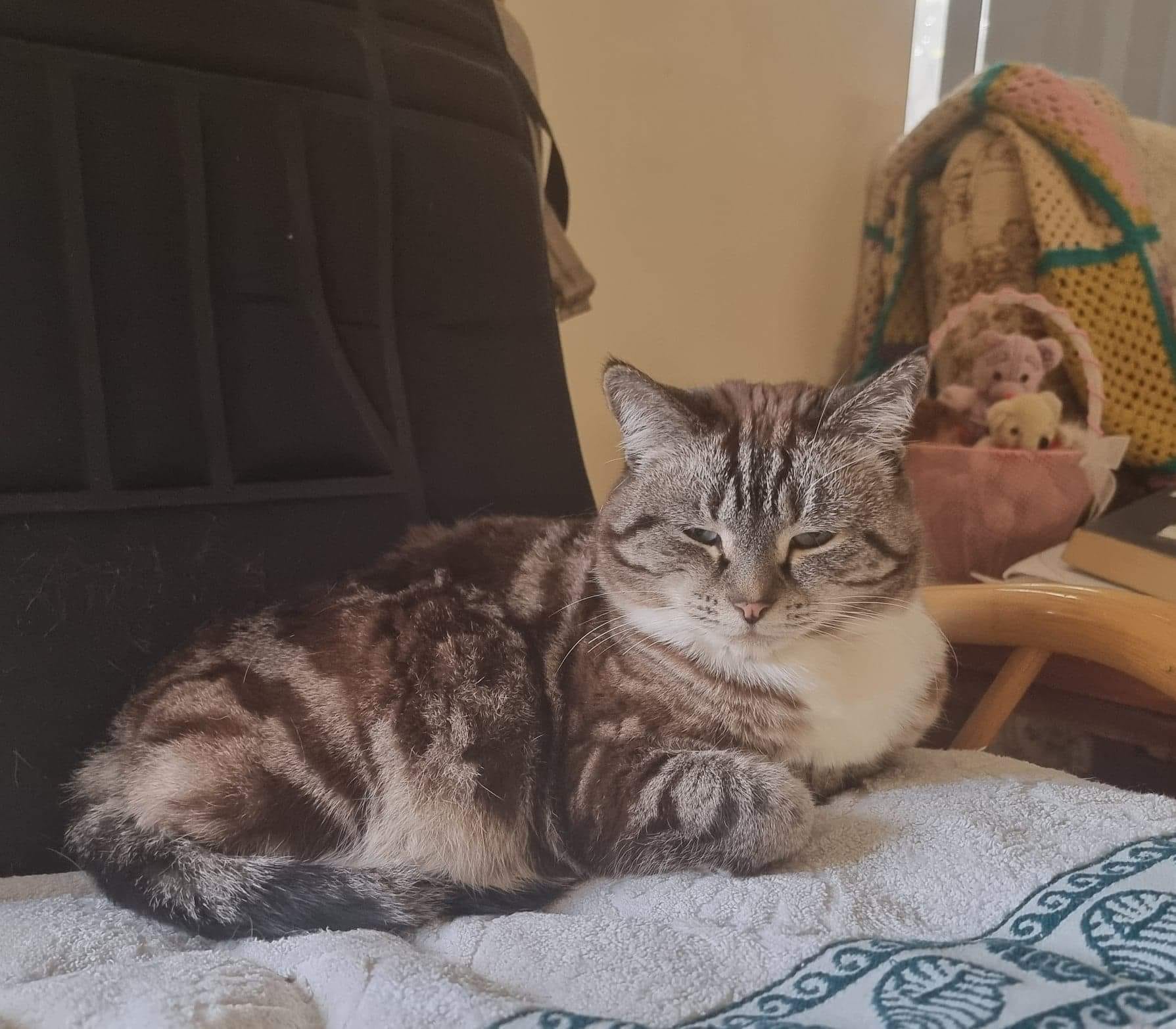 Tabitha Louise starring in "Not on a Sunday". ð¾