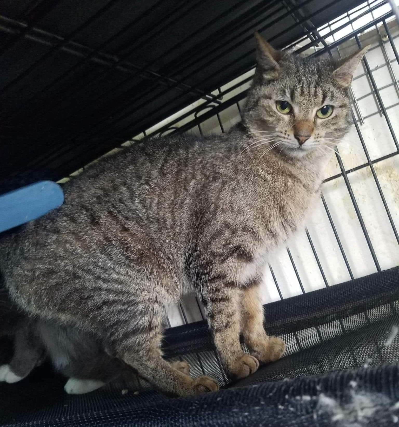 Meredith. Gentle, shy girl. ð