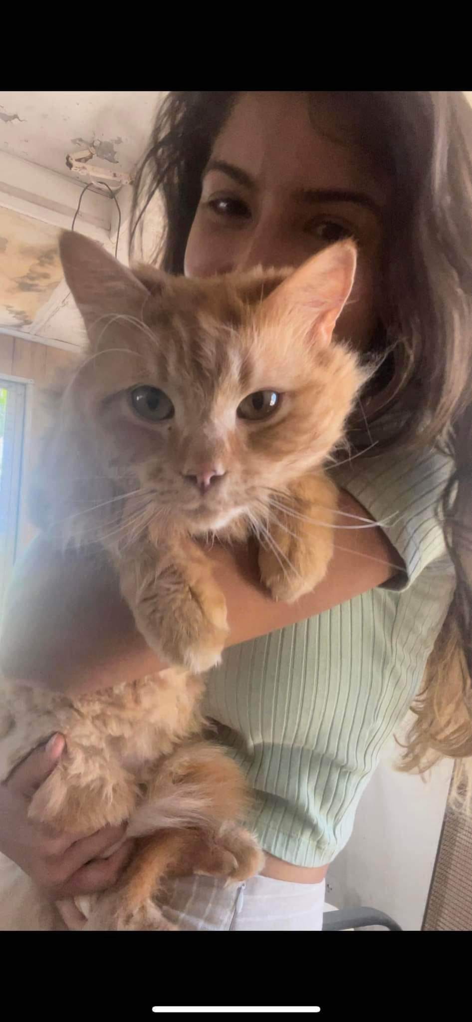 Snuggle-muff Gulliver. ð¥°