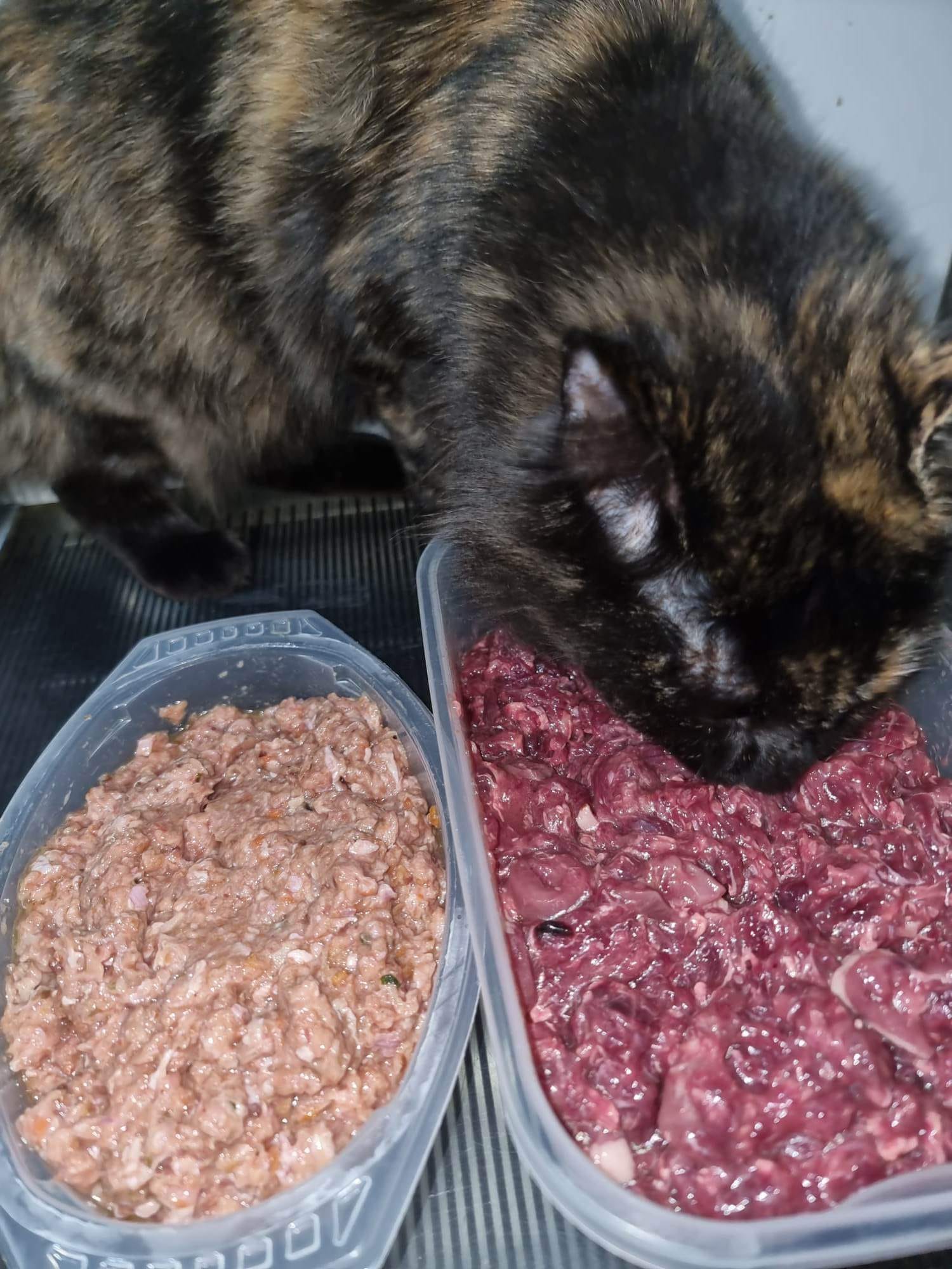 Everyone wants to 'help' at dinner time. ð