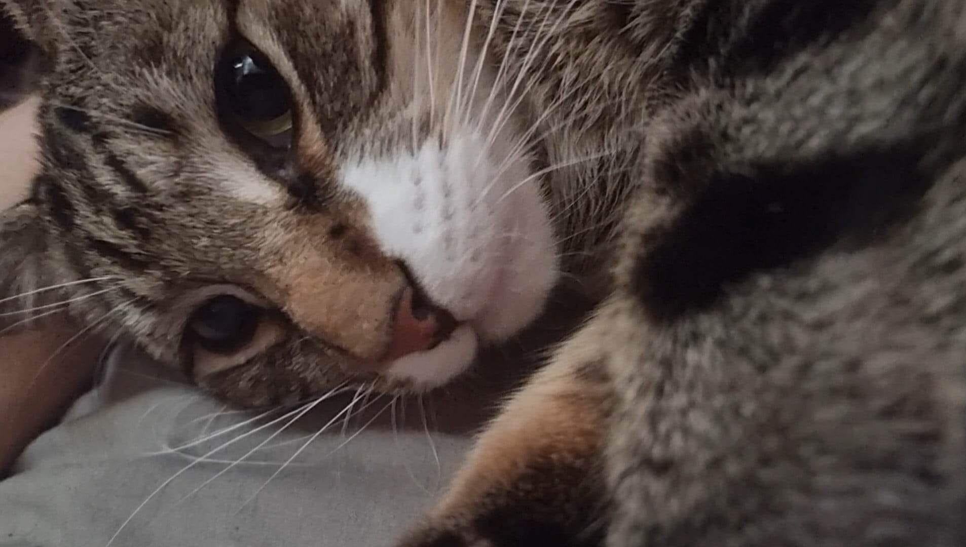 Doesn't take much to entertain Toby. ð¸