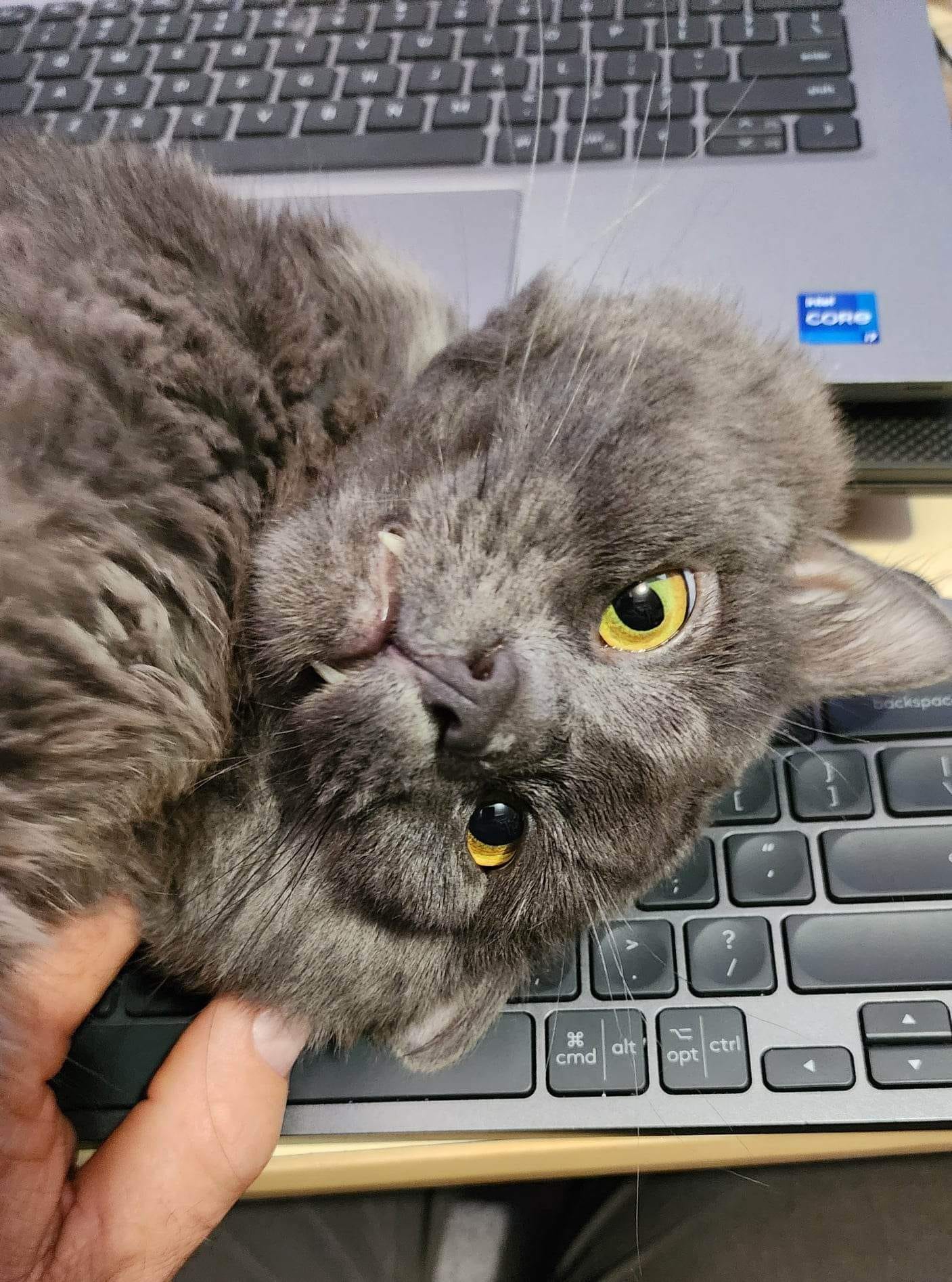 A day in the life of Teddy Bear. ð