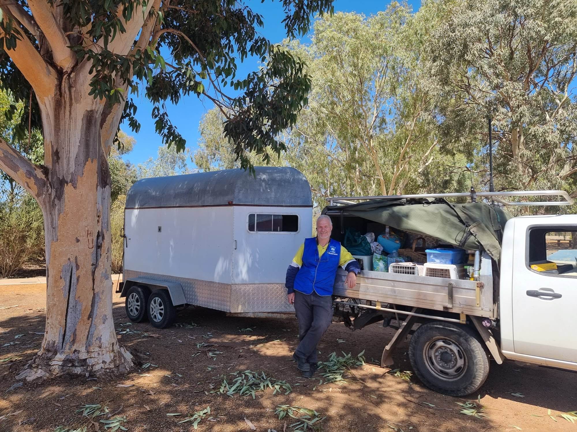 Time to trap some kitties in Kulin! ðº
