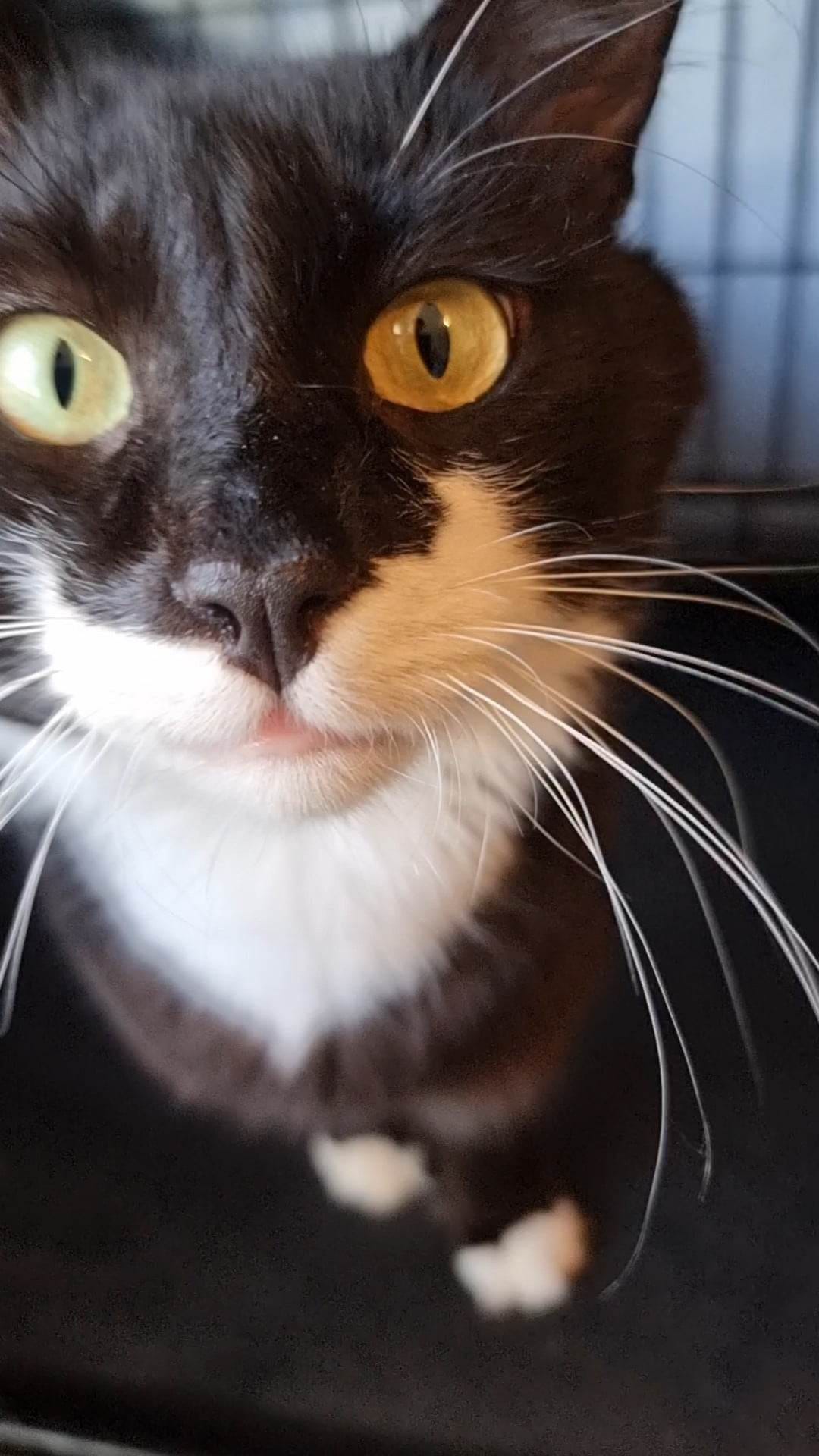 Finian needs a little help with his floof. ð¹