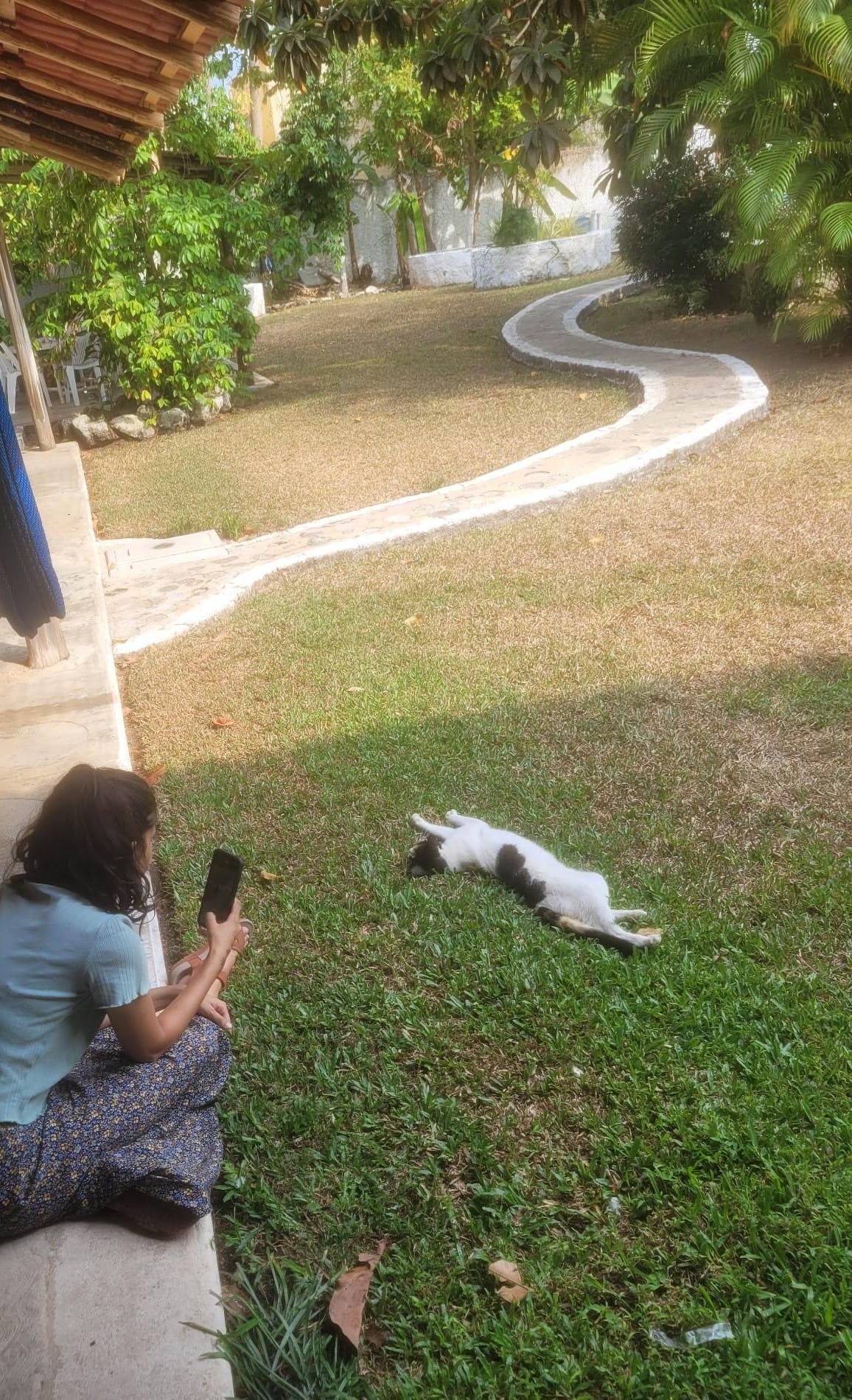 What does a cat lover do when backpacking through Mexico? ð²ð½ ð¤