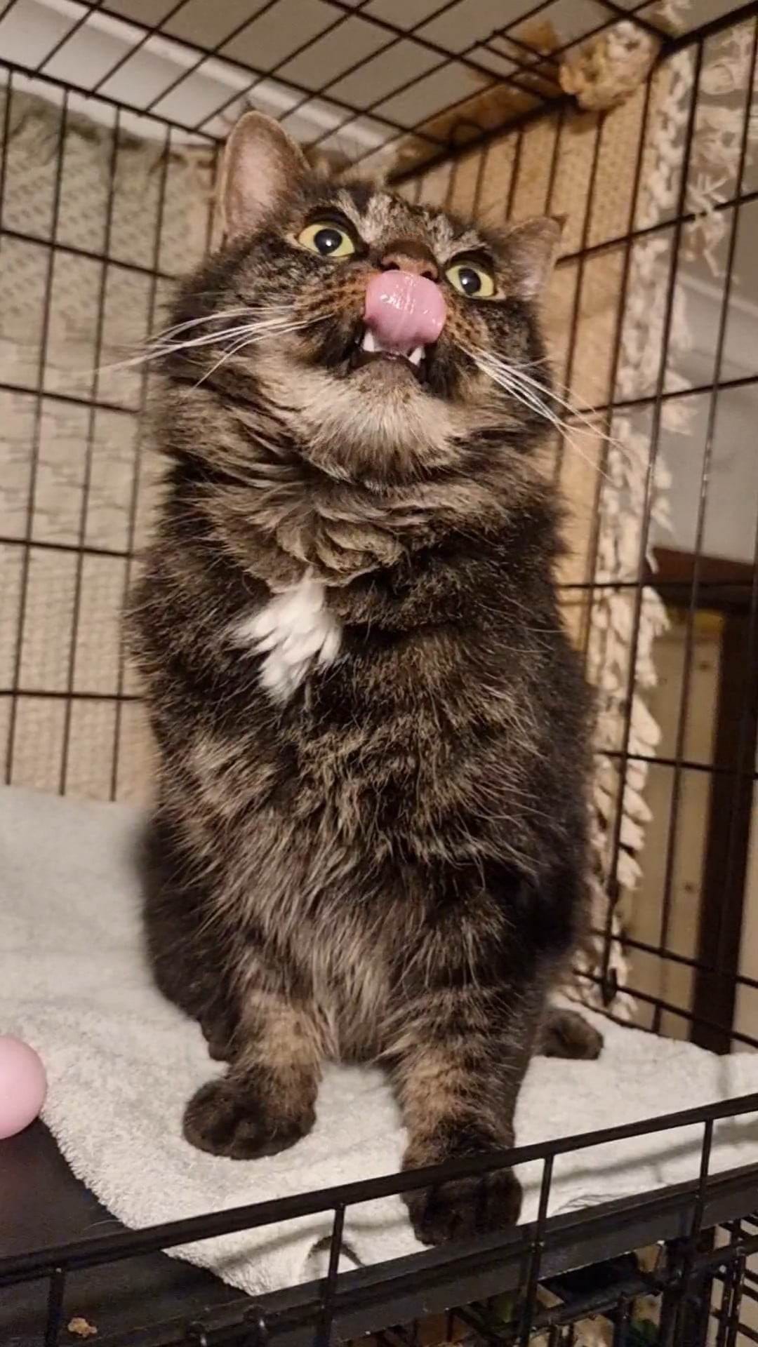 Aww, come ON!
