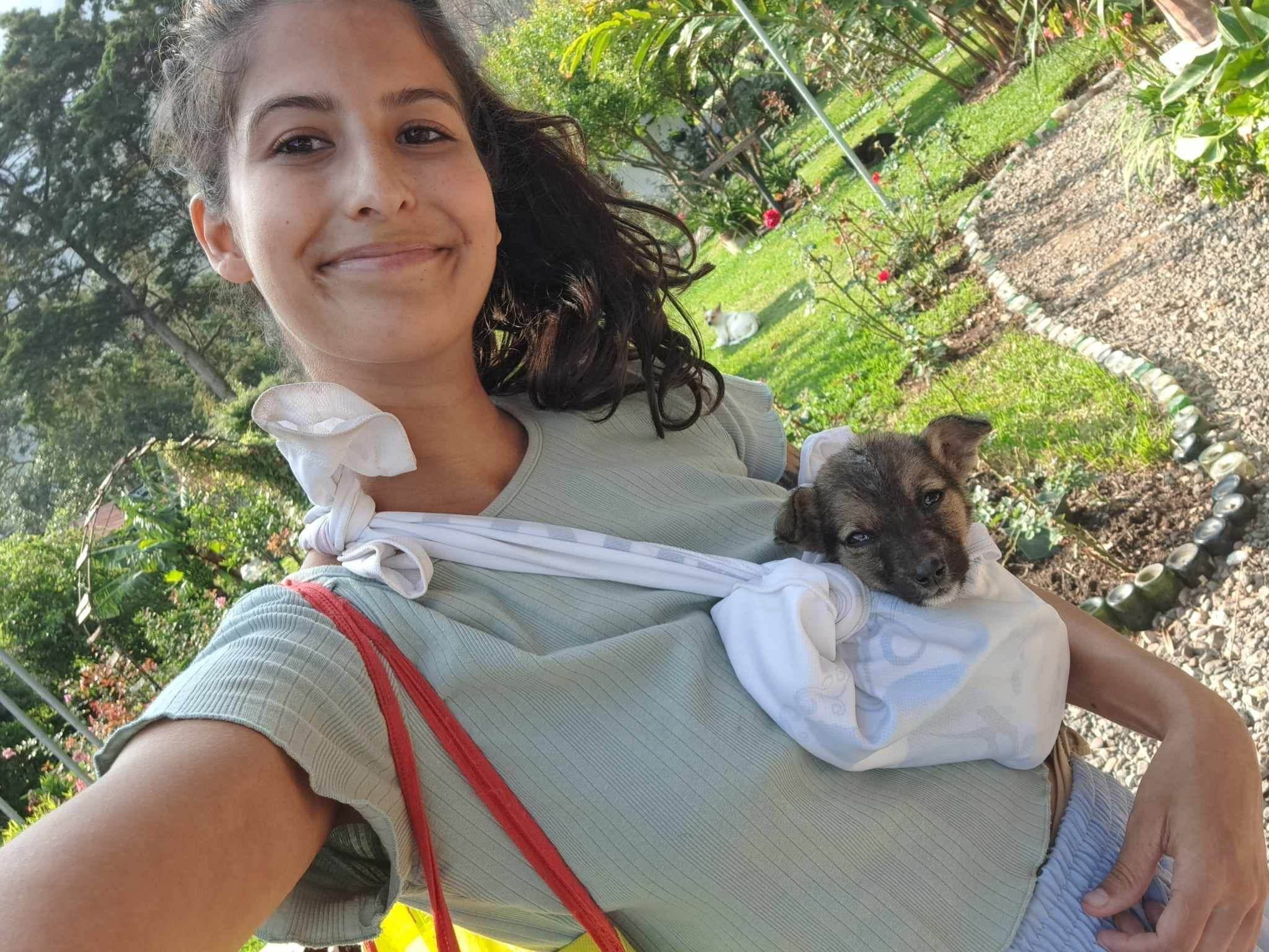PoochPacker Tales ð¾ The story of Kaiah.