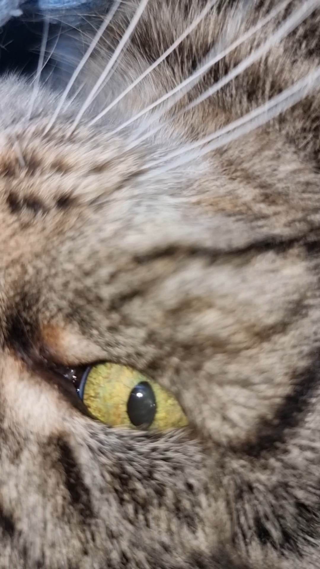 Everyone, this is Morgan.