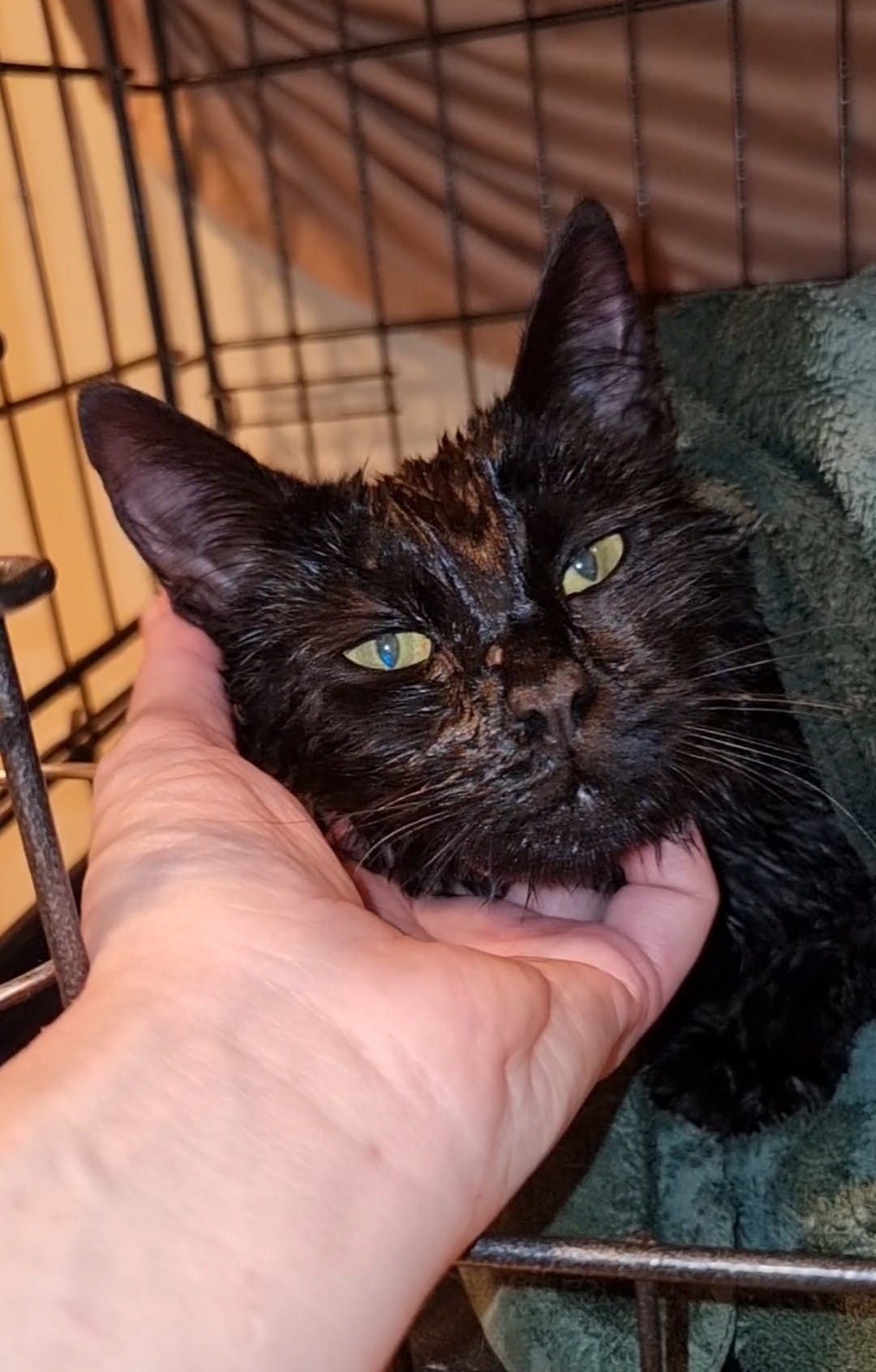 We seem to have a Ringworm Theme atm… ð