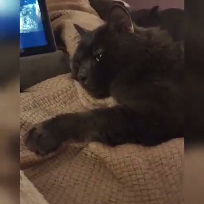 One ð to rule them all…