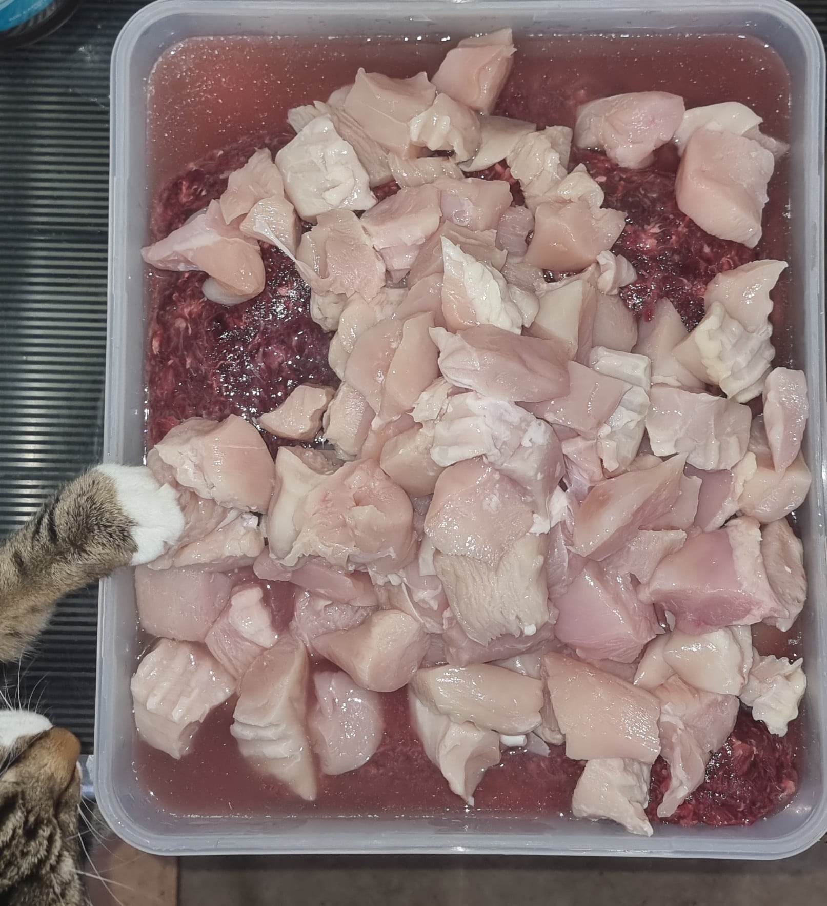 Sneaky lil paw… ð§