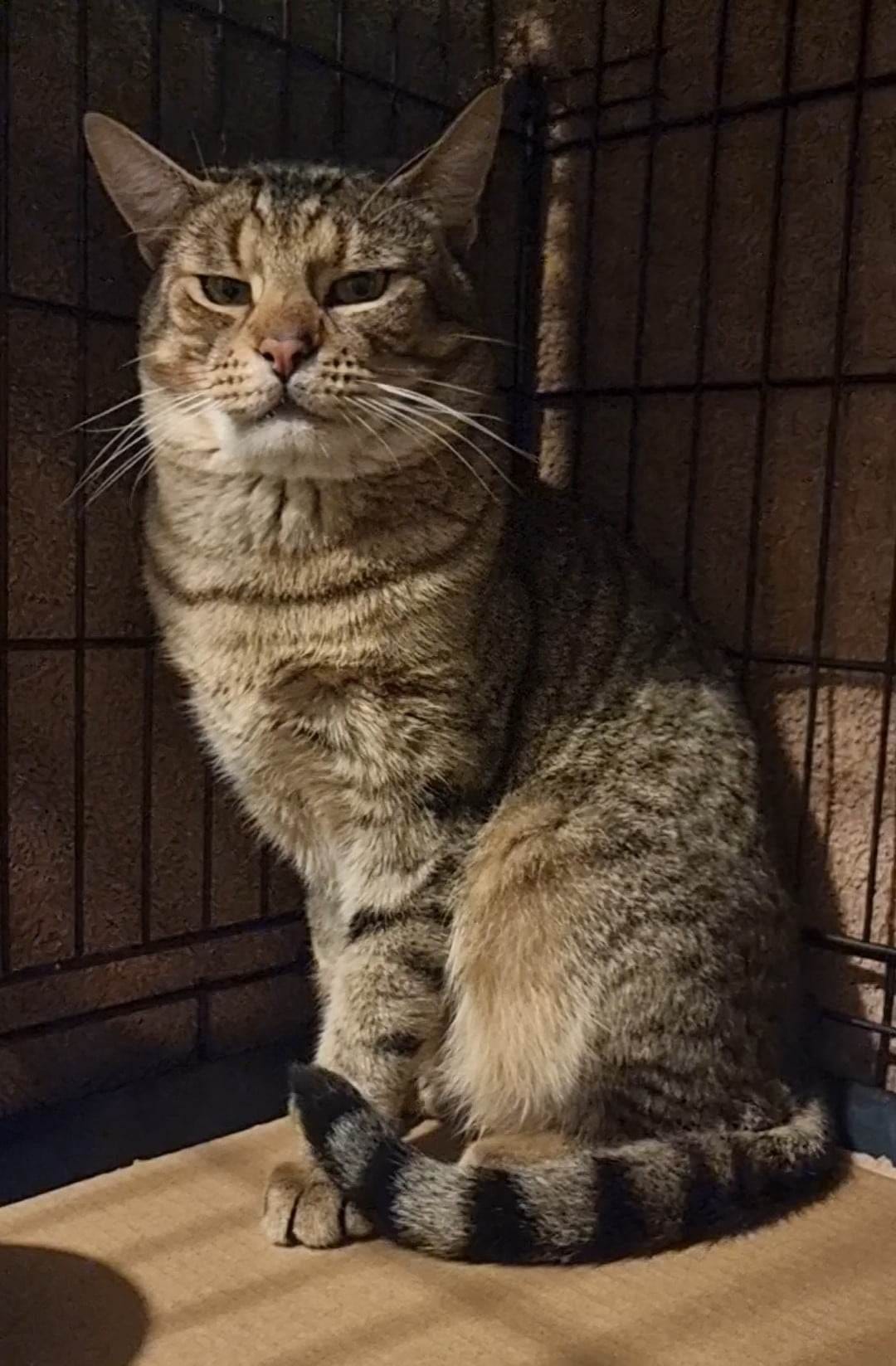 I'm in â¥ï¸ with a GRUMP!