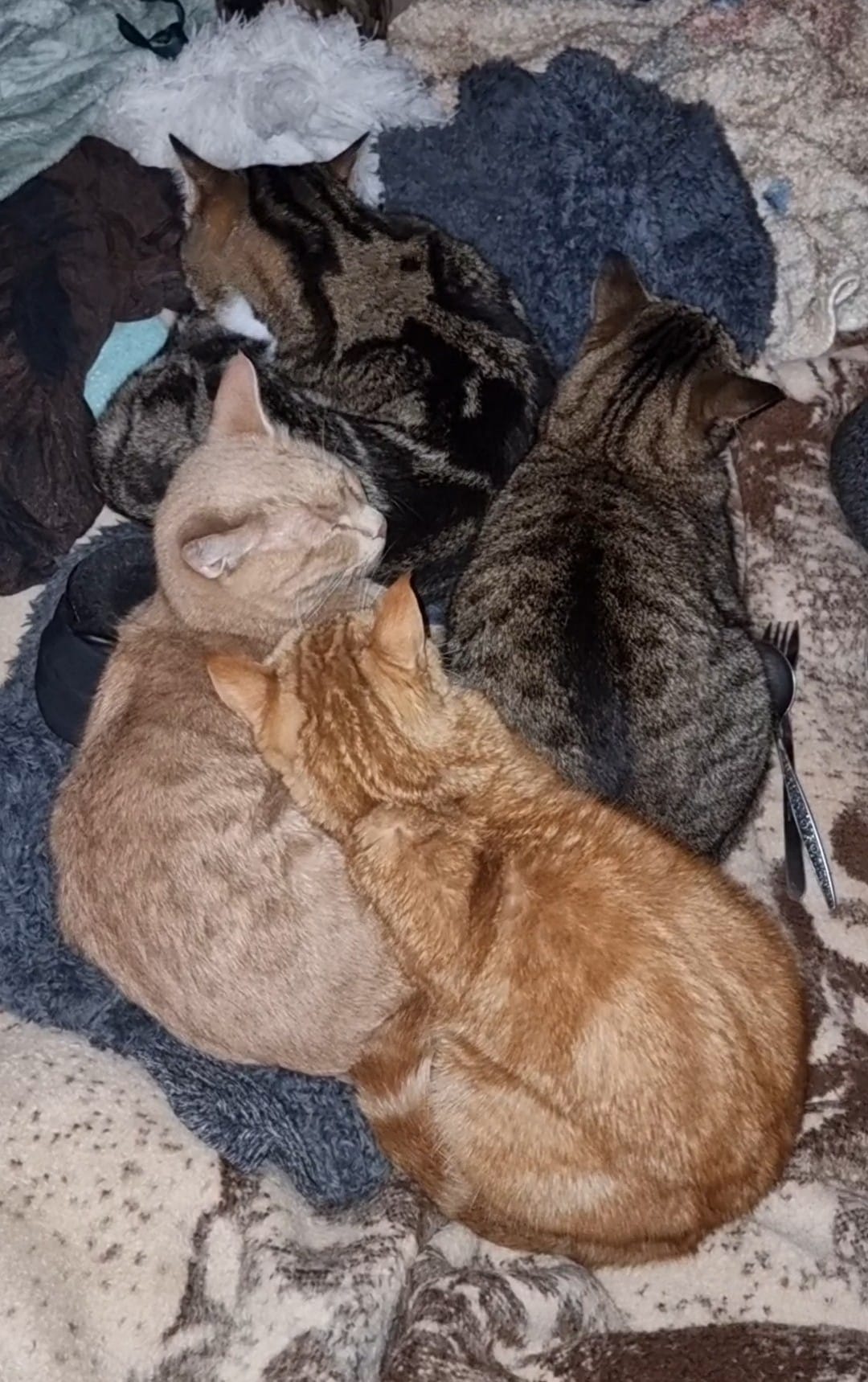 Sundays are for… ð´