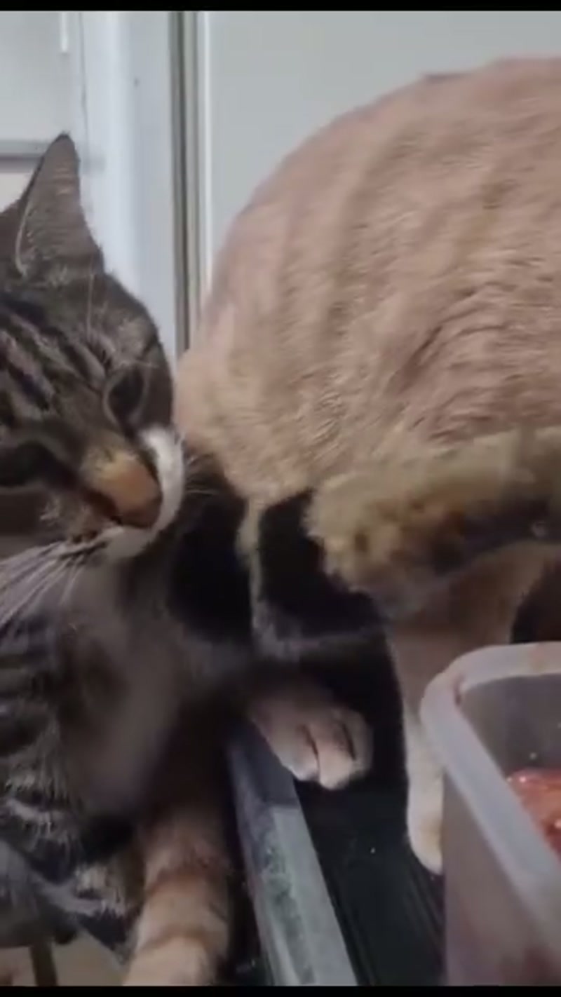 More munchies… ð»