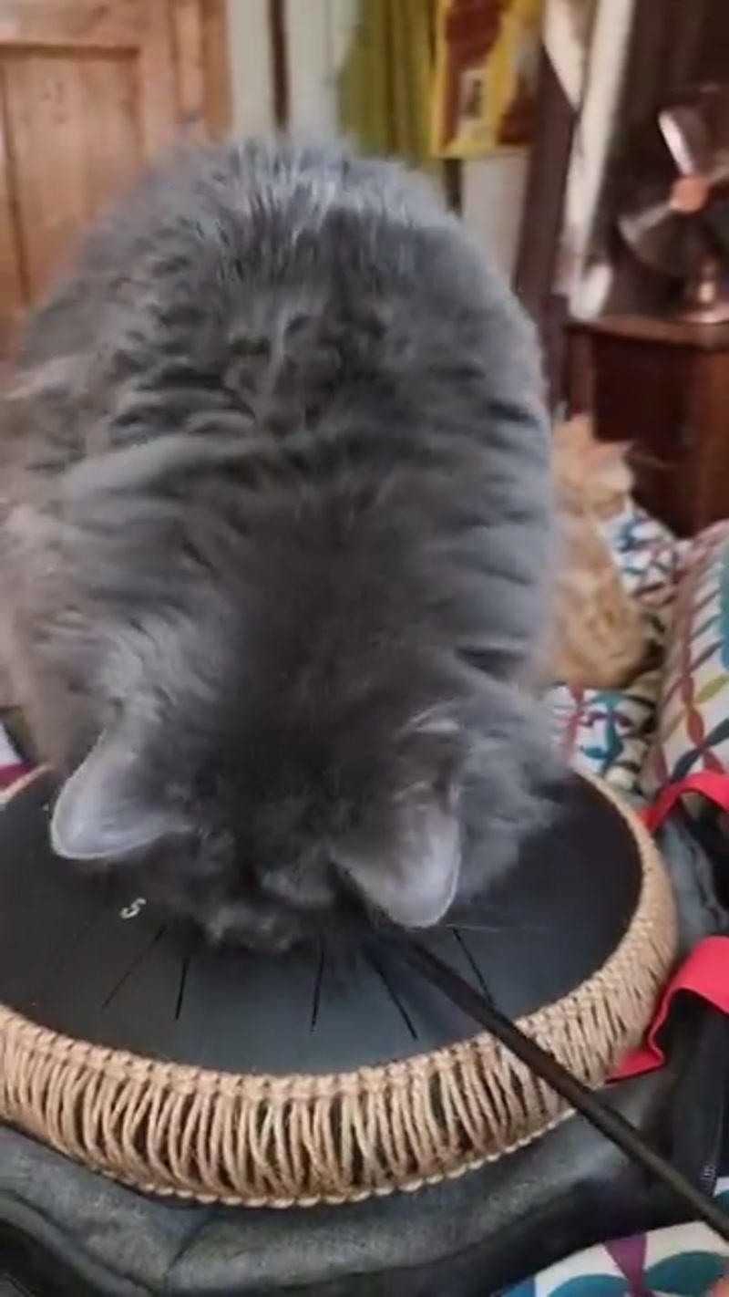 Arrgghhh… T-Bear you're so darn CUTE! ð¥°