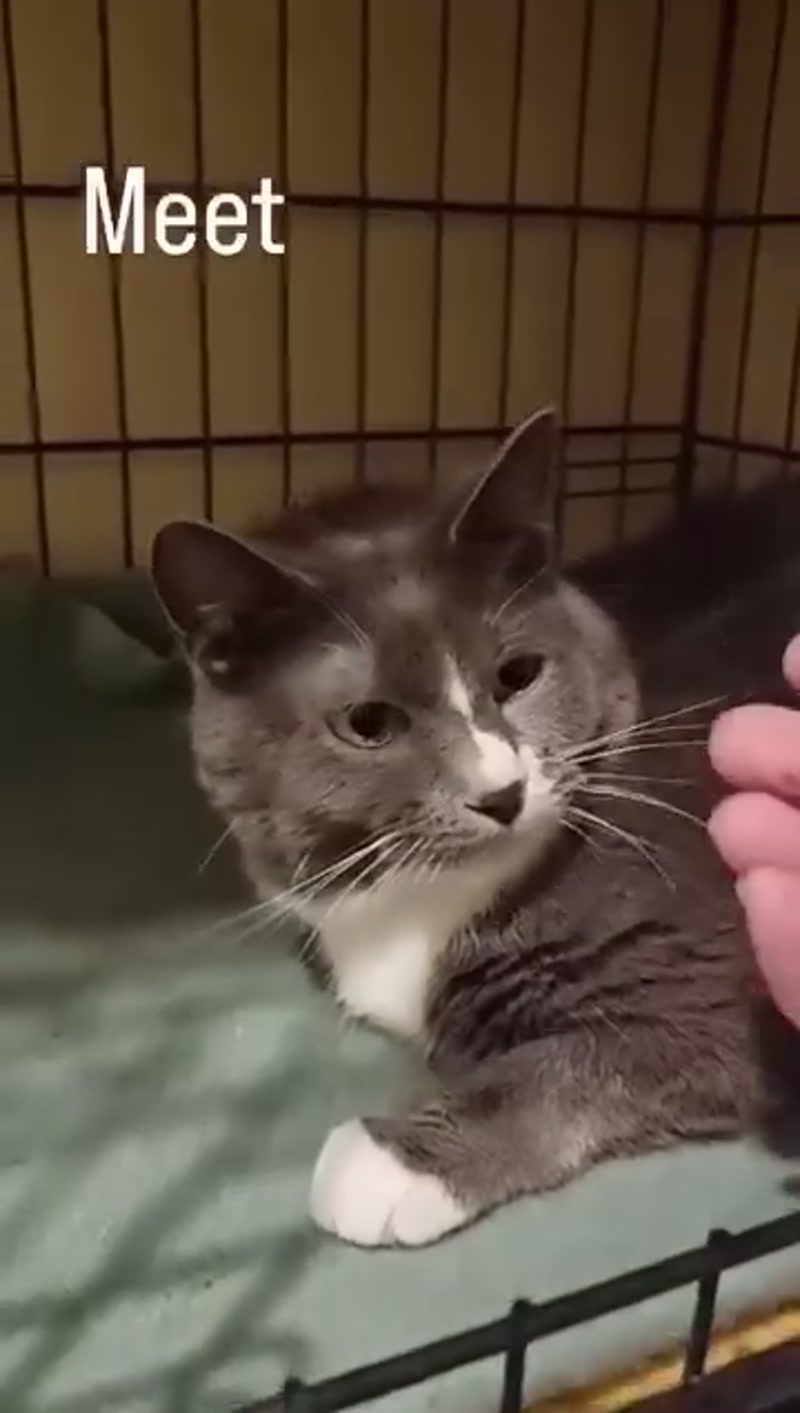 Shy n sweet with small white feet… ð¤ðð¤