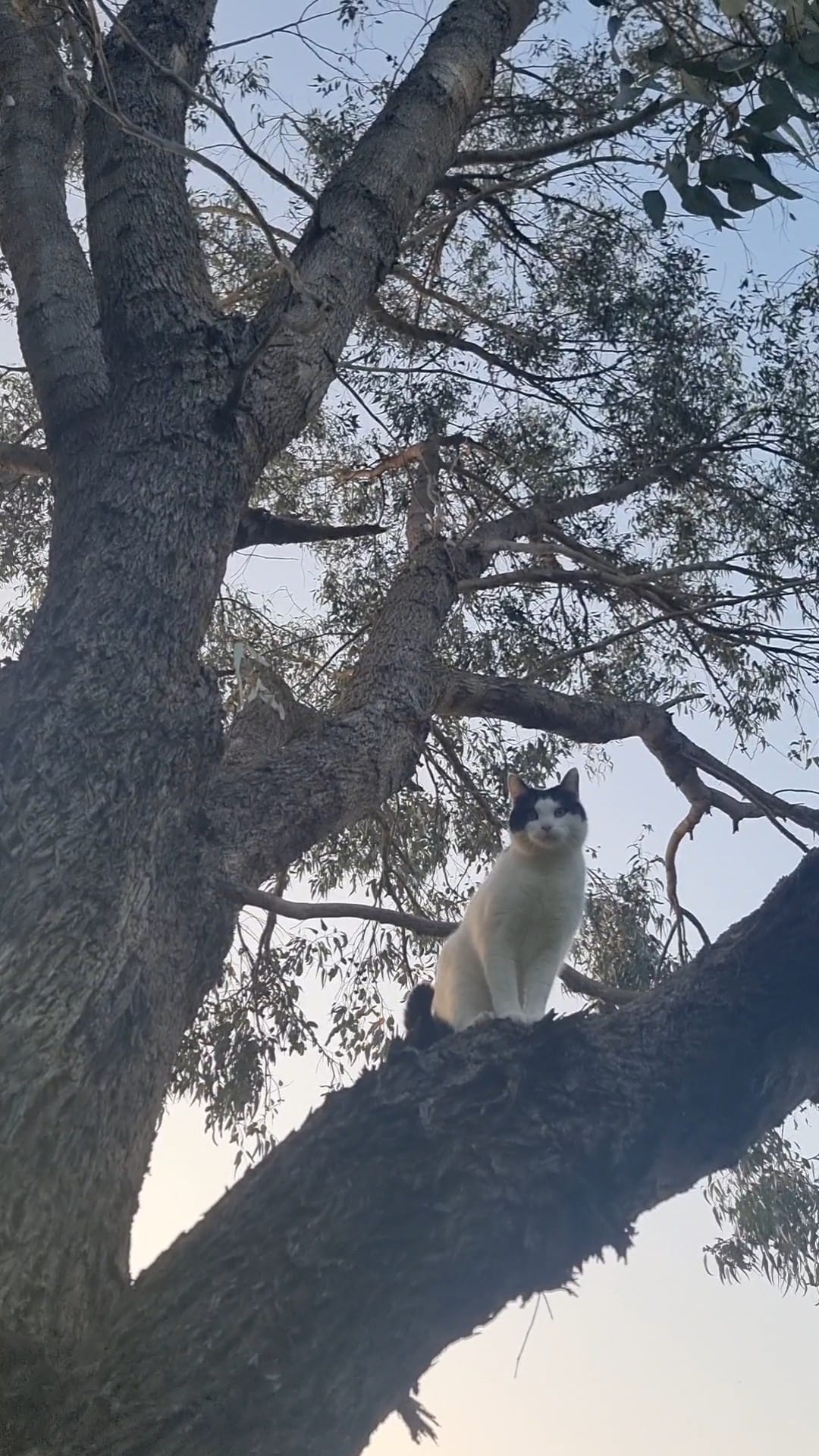 Ned had a rather exciting weekend… ð