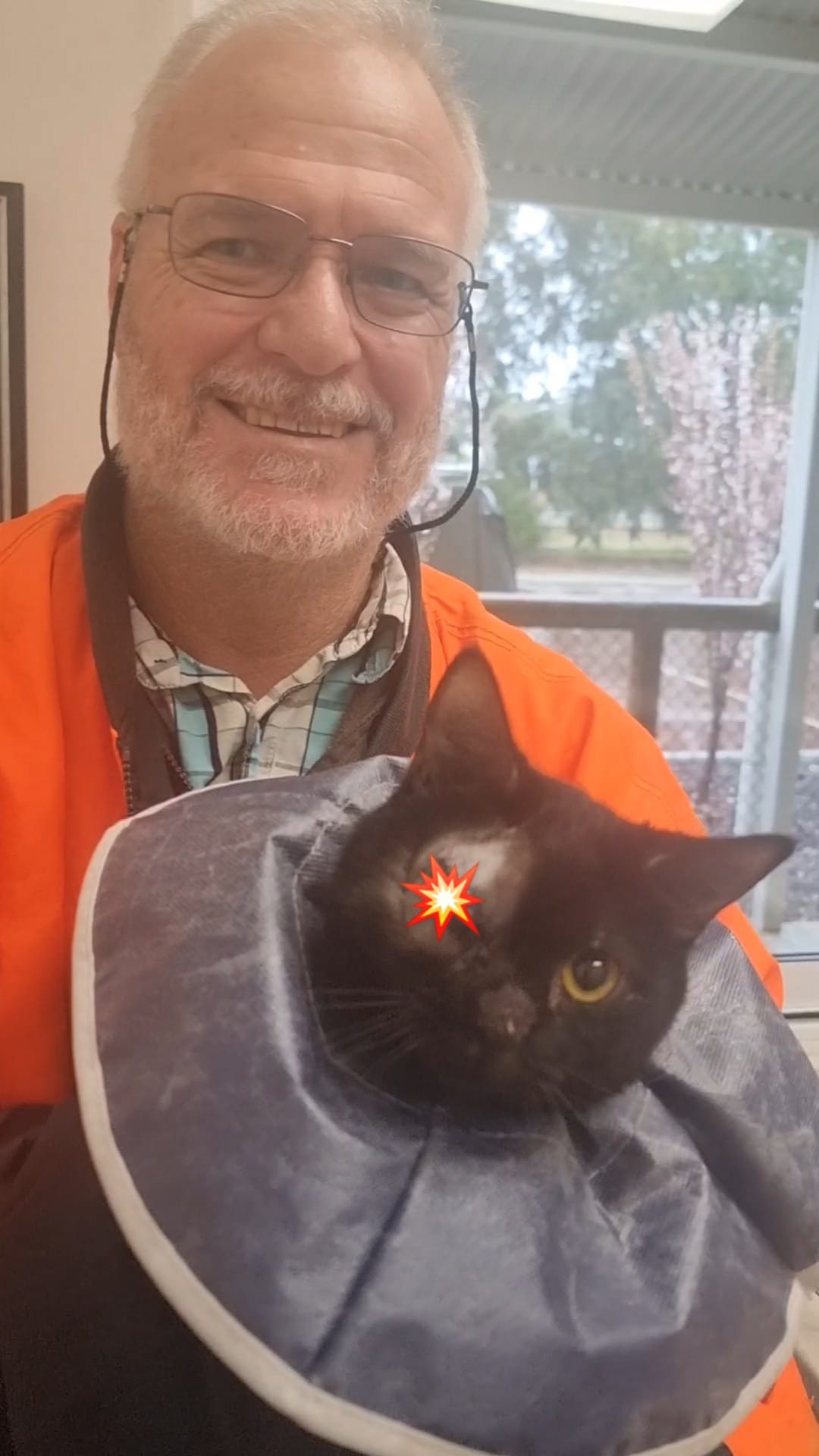 Wimbles is now a ONE EYED cat! ð