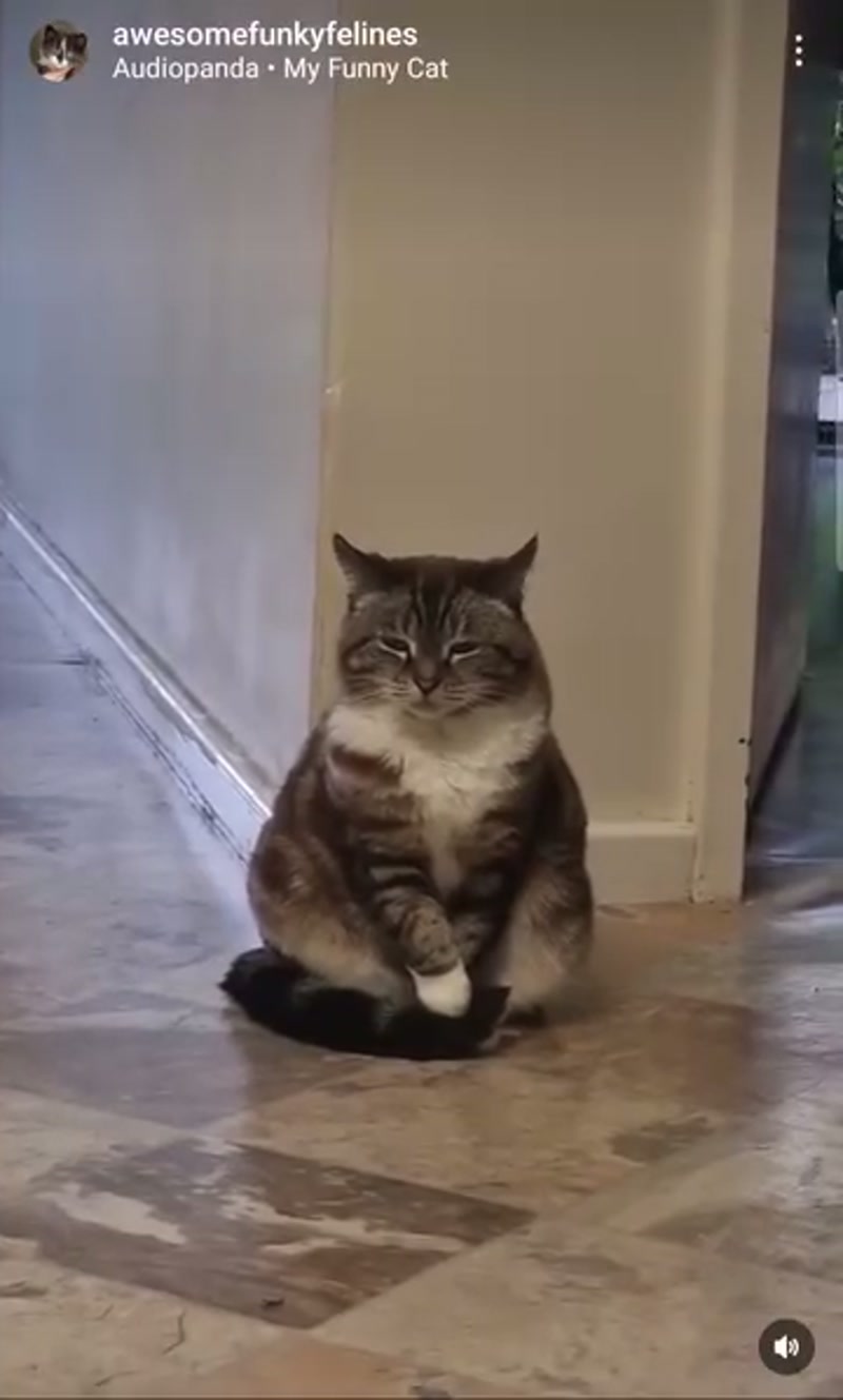 Tabitha Louise in her signature stance. ð