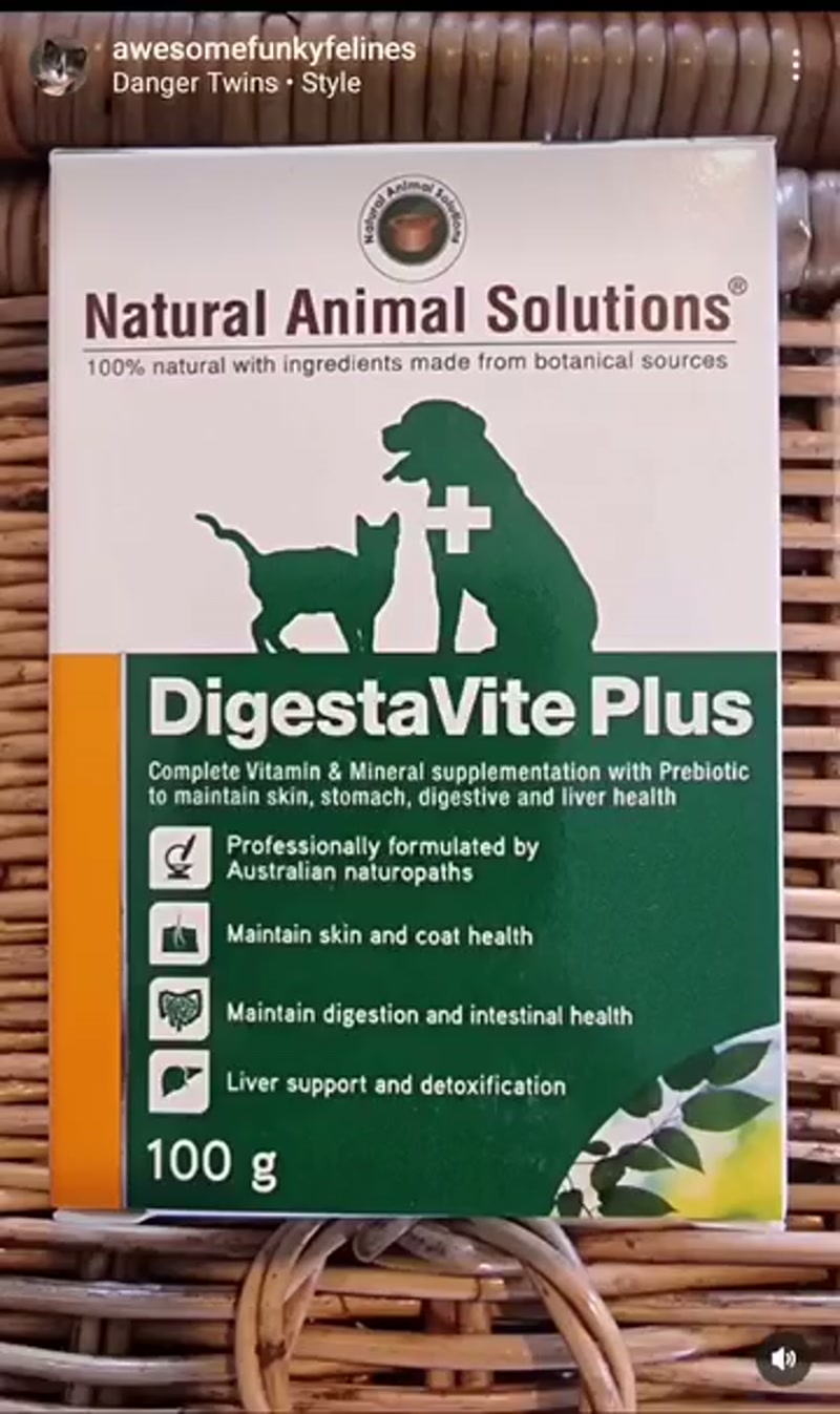 Mogwai takes DigestaVite for a test run… ð§¡