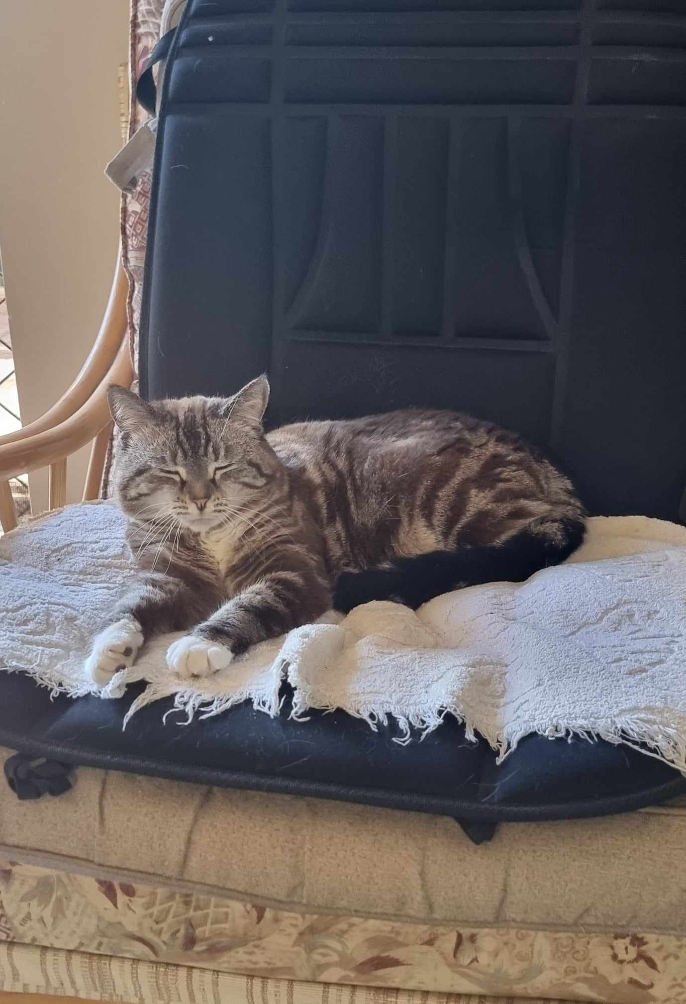 I feel you TL ð¥± ð¤