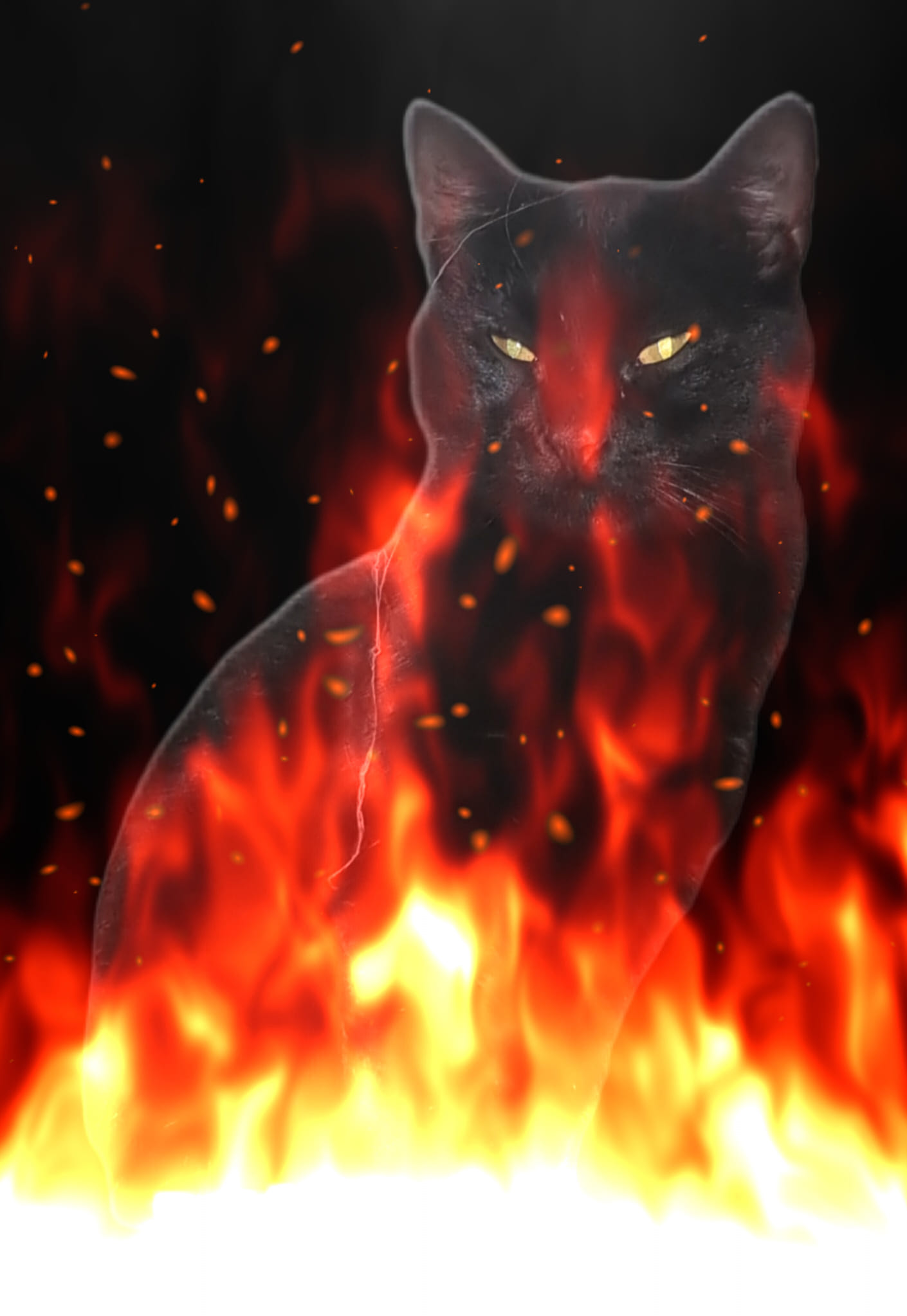 HappyHalloween__catlovers - Image from 2023-10-31