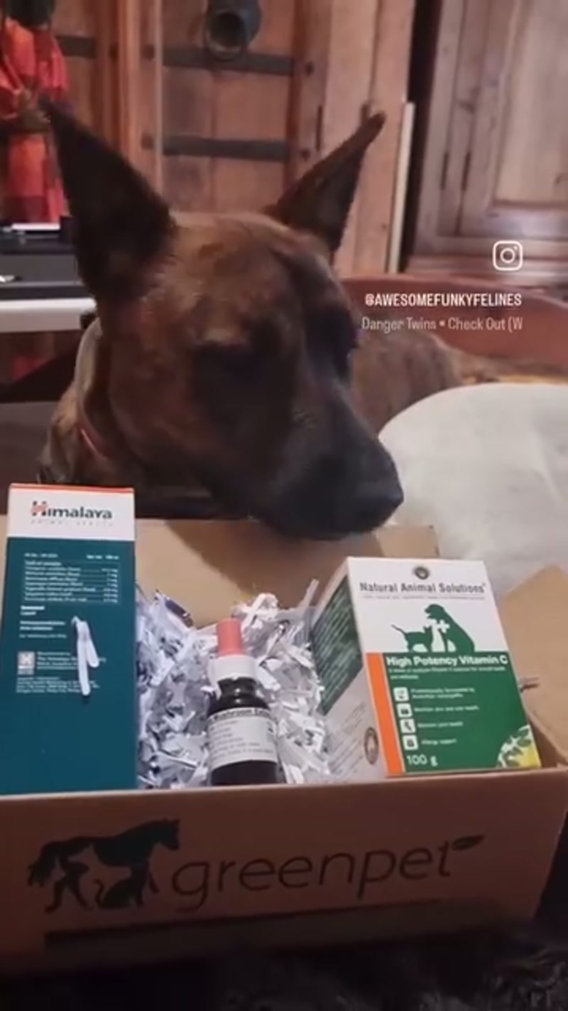 @greenpetaus goodies stock up! ð¤©